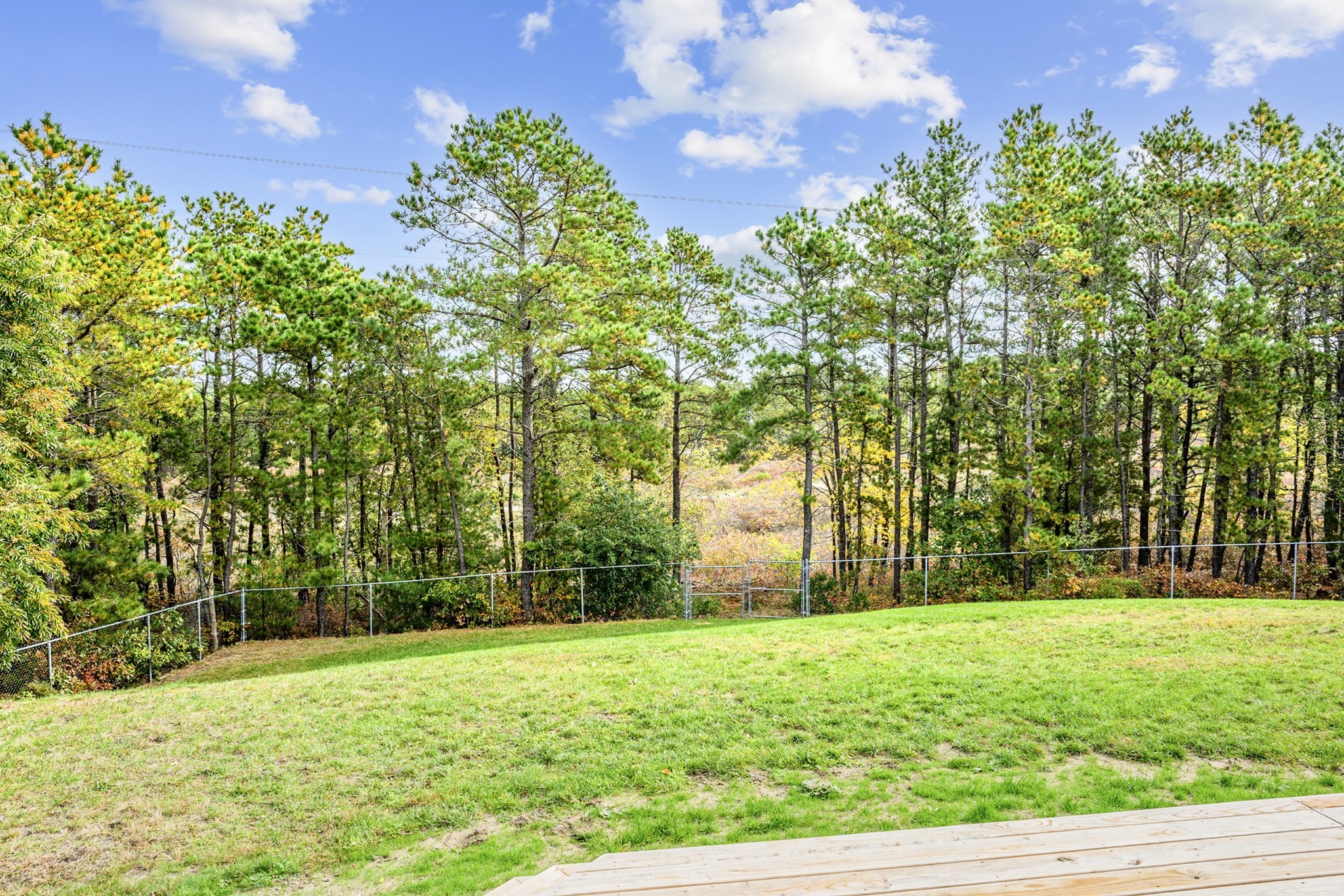 83 Dickson Dr