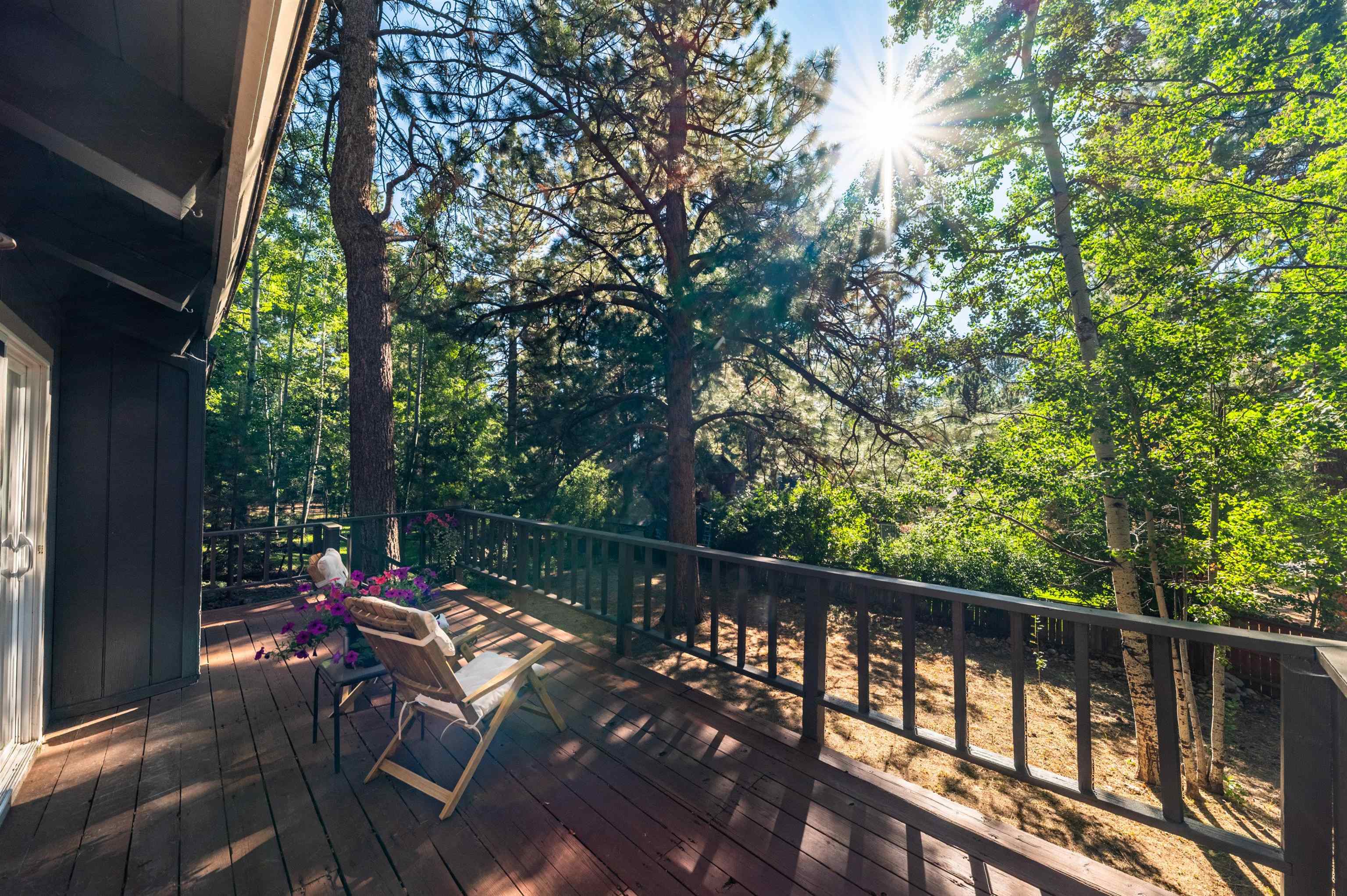 10644 Codogan Street