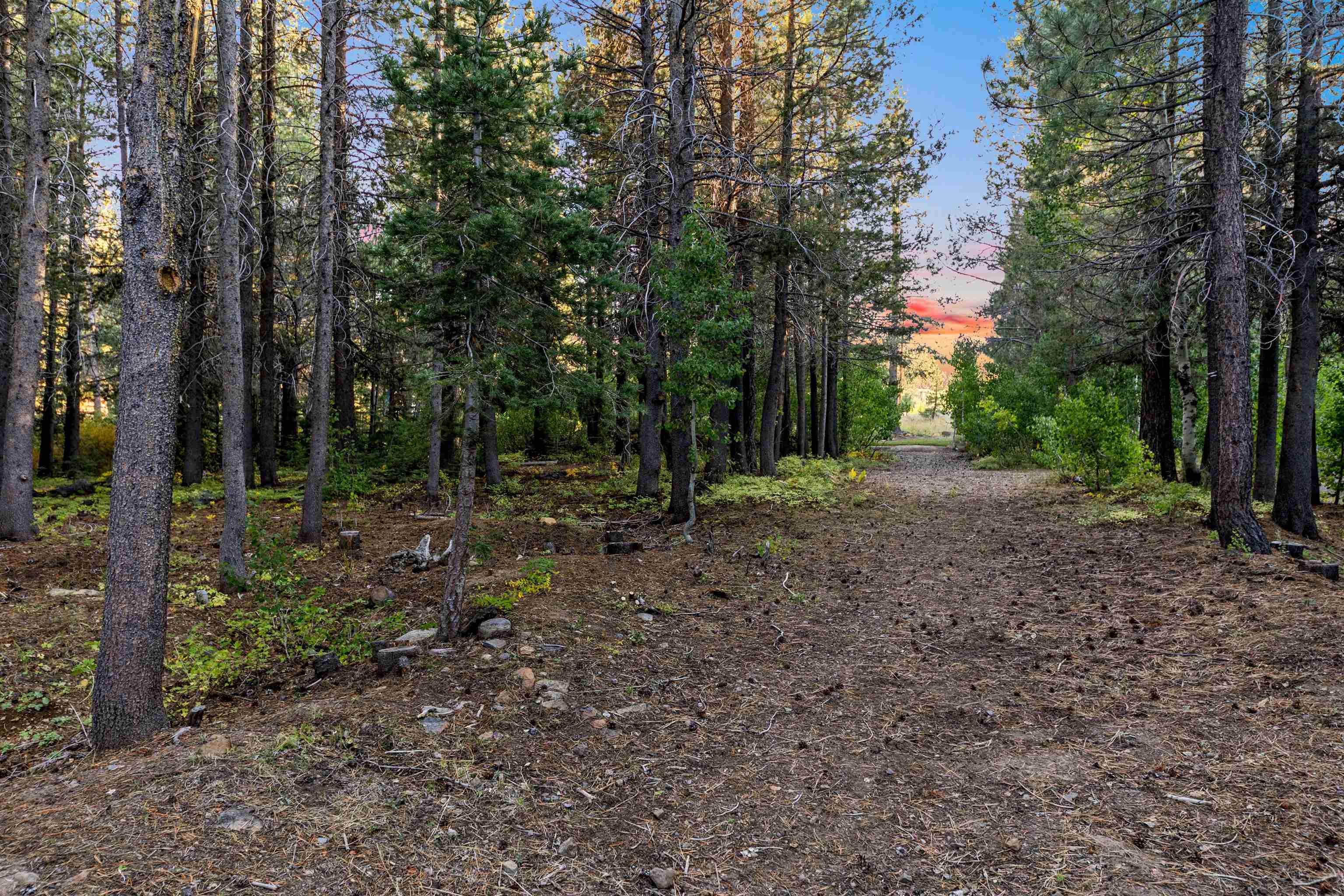 15001 Alder Creek Road