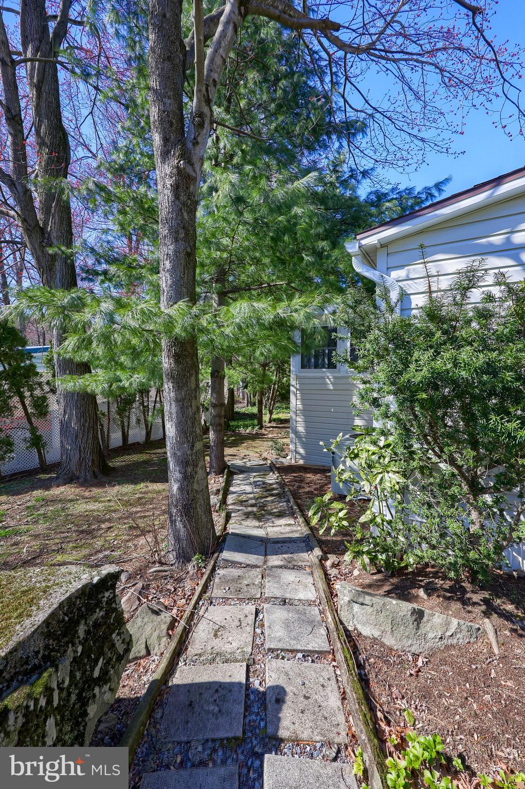 419 MAPLE AVENUE