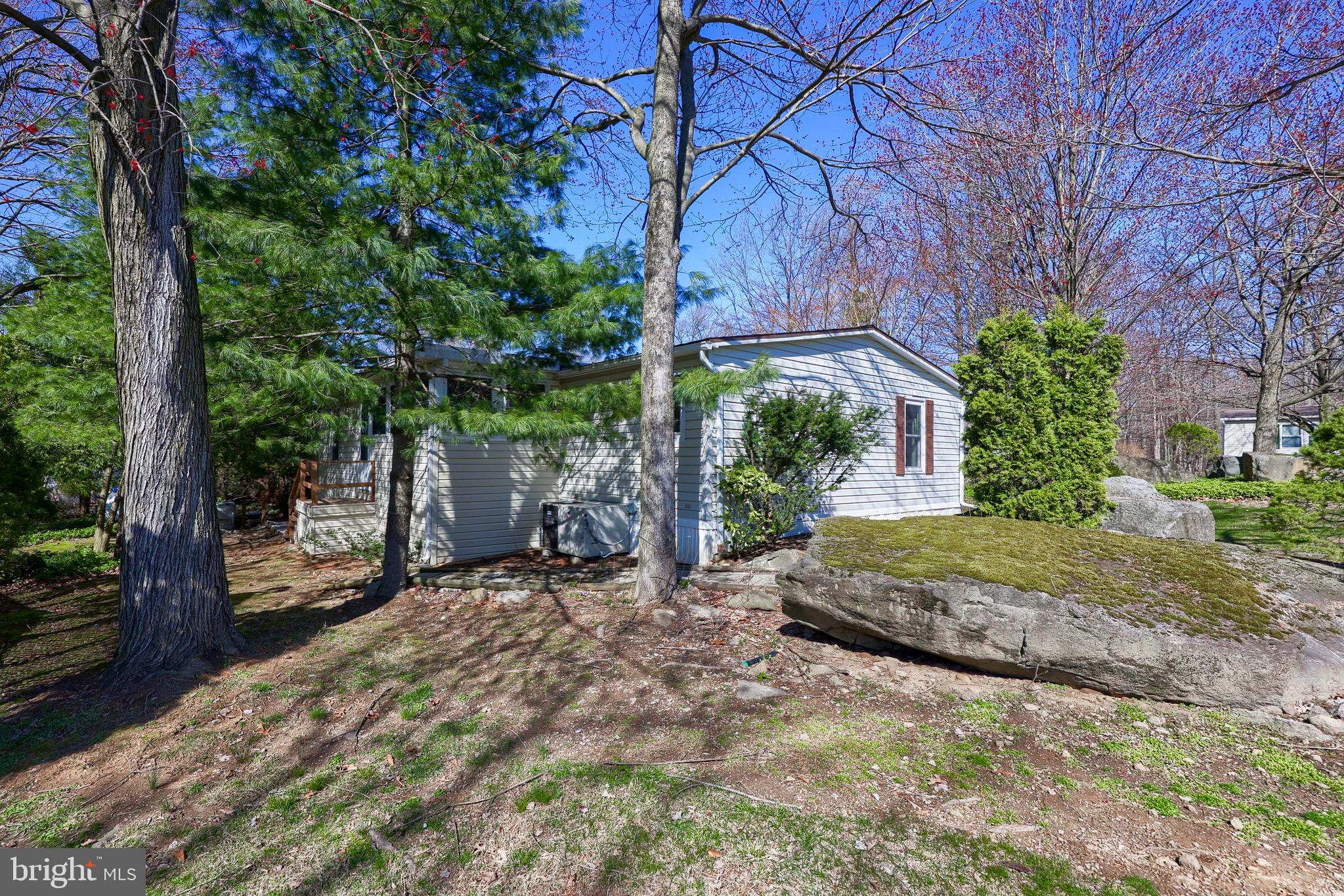 419 MAPLE AVENUE