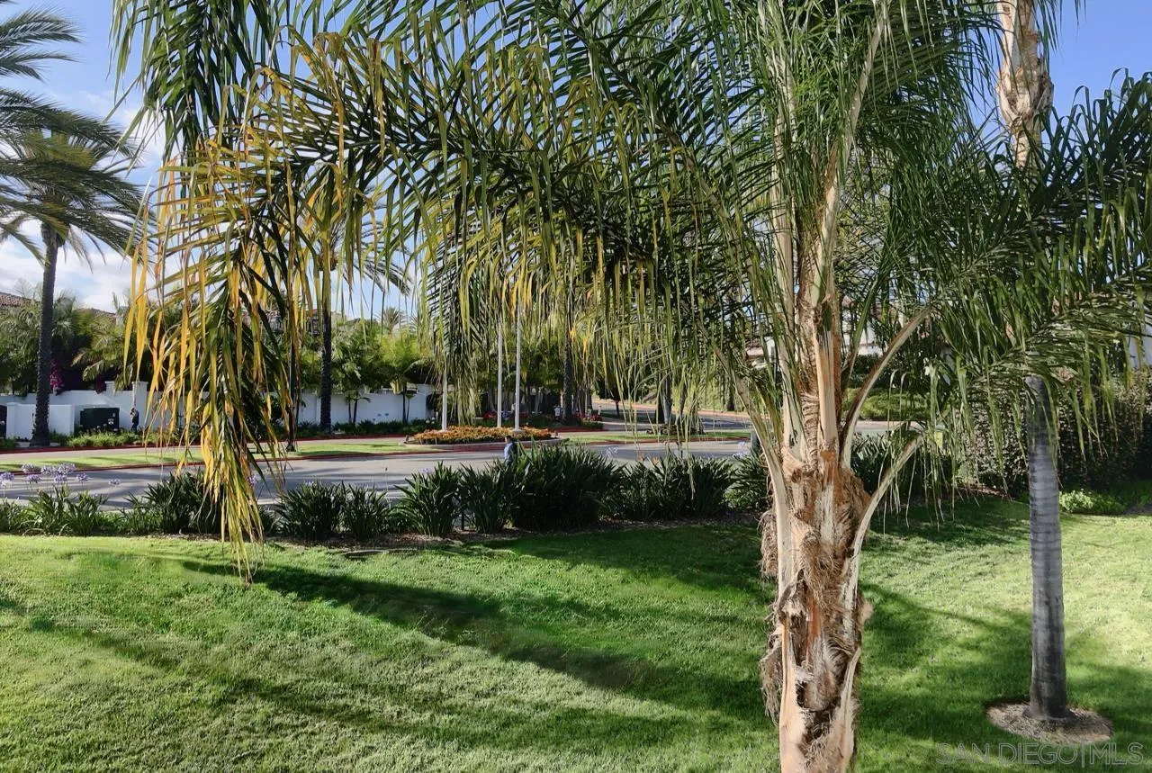 2005 Costa Del Mar Rd Unit 631