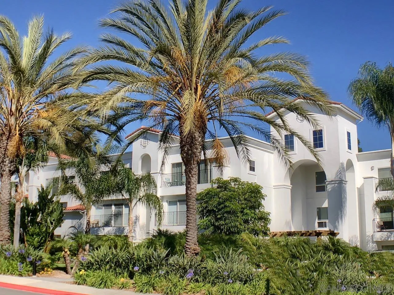2005 Costa Del Mar Rd Unit 631