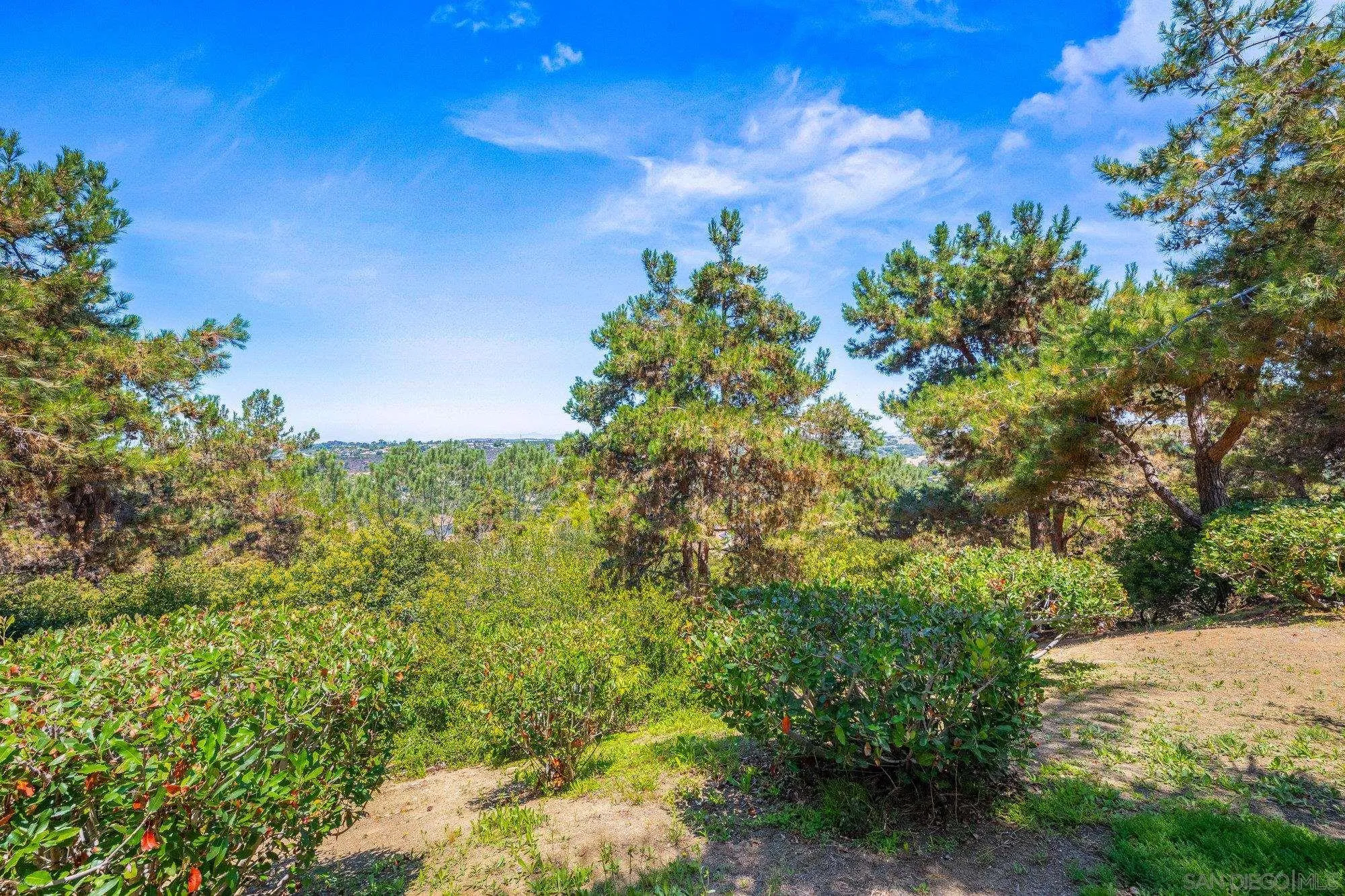 2930 Rancho Cortes
