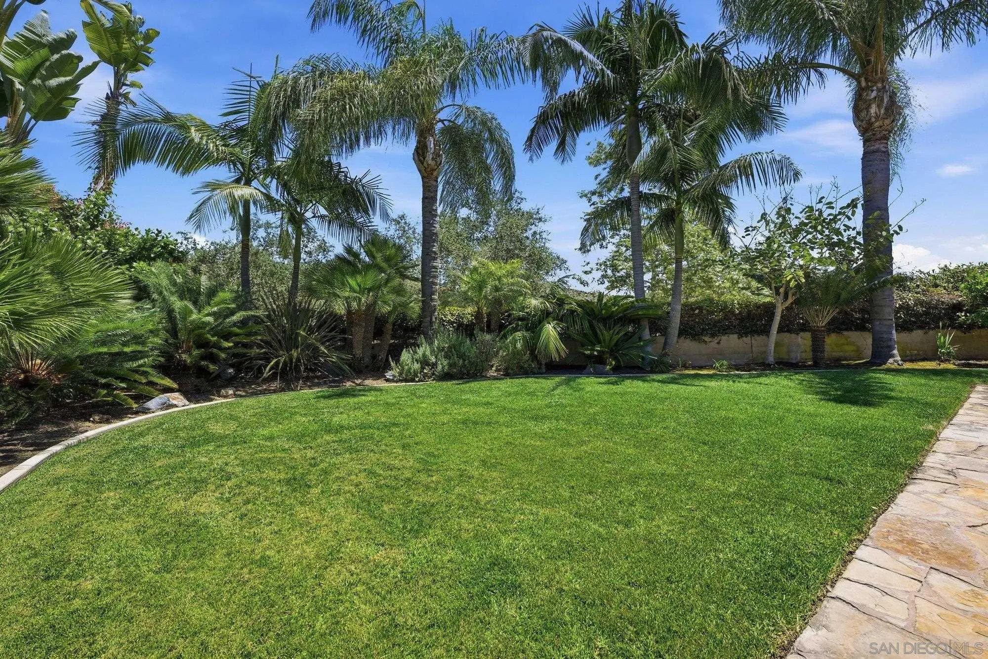 6154 Paseo Palero
