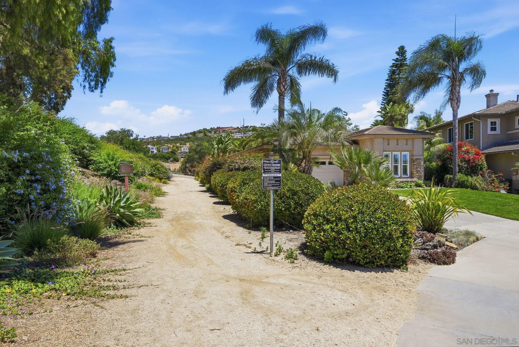 6154 Paseo Palero