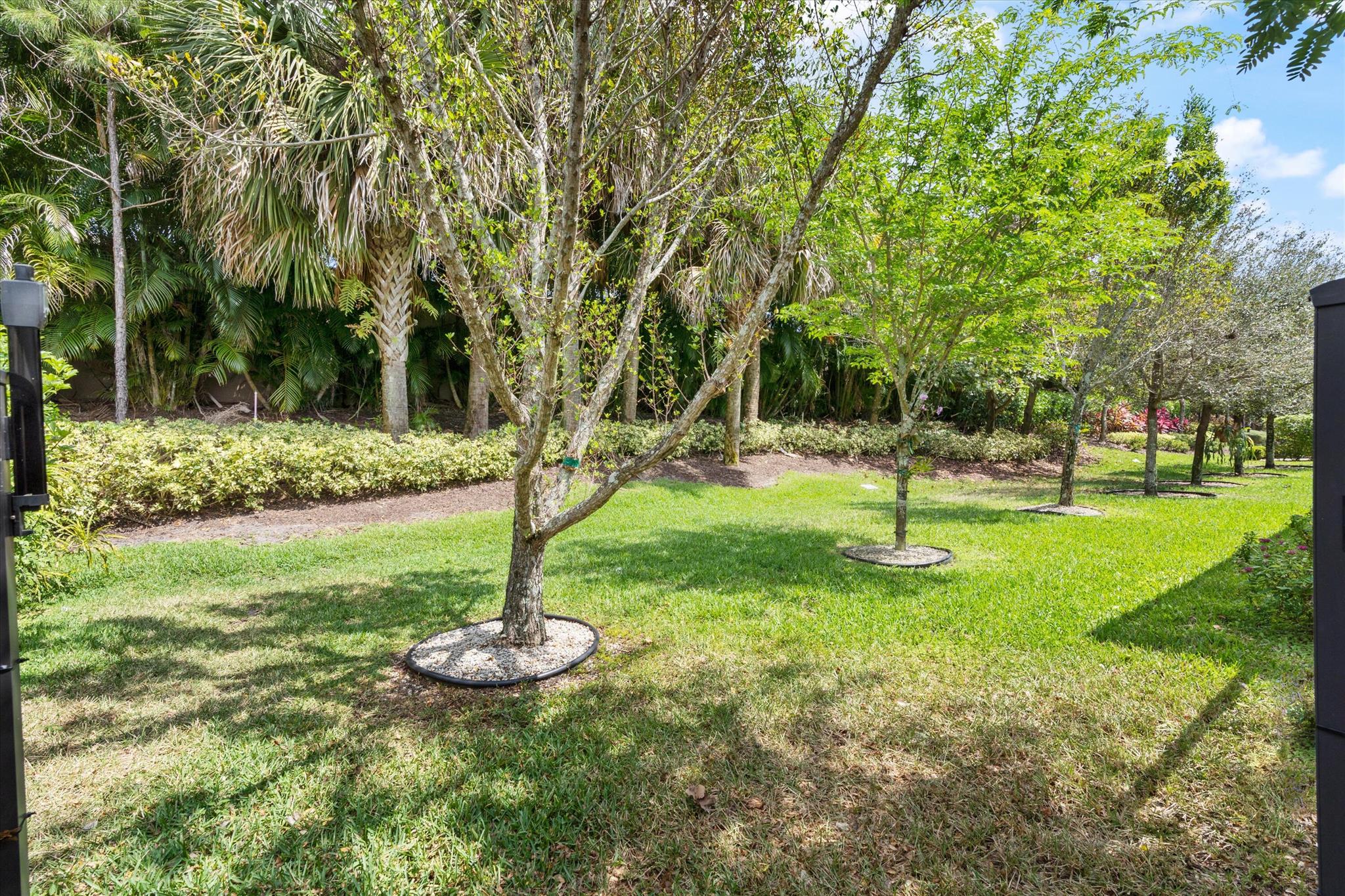 12126 Neptune Peak Drive