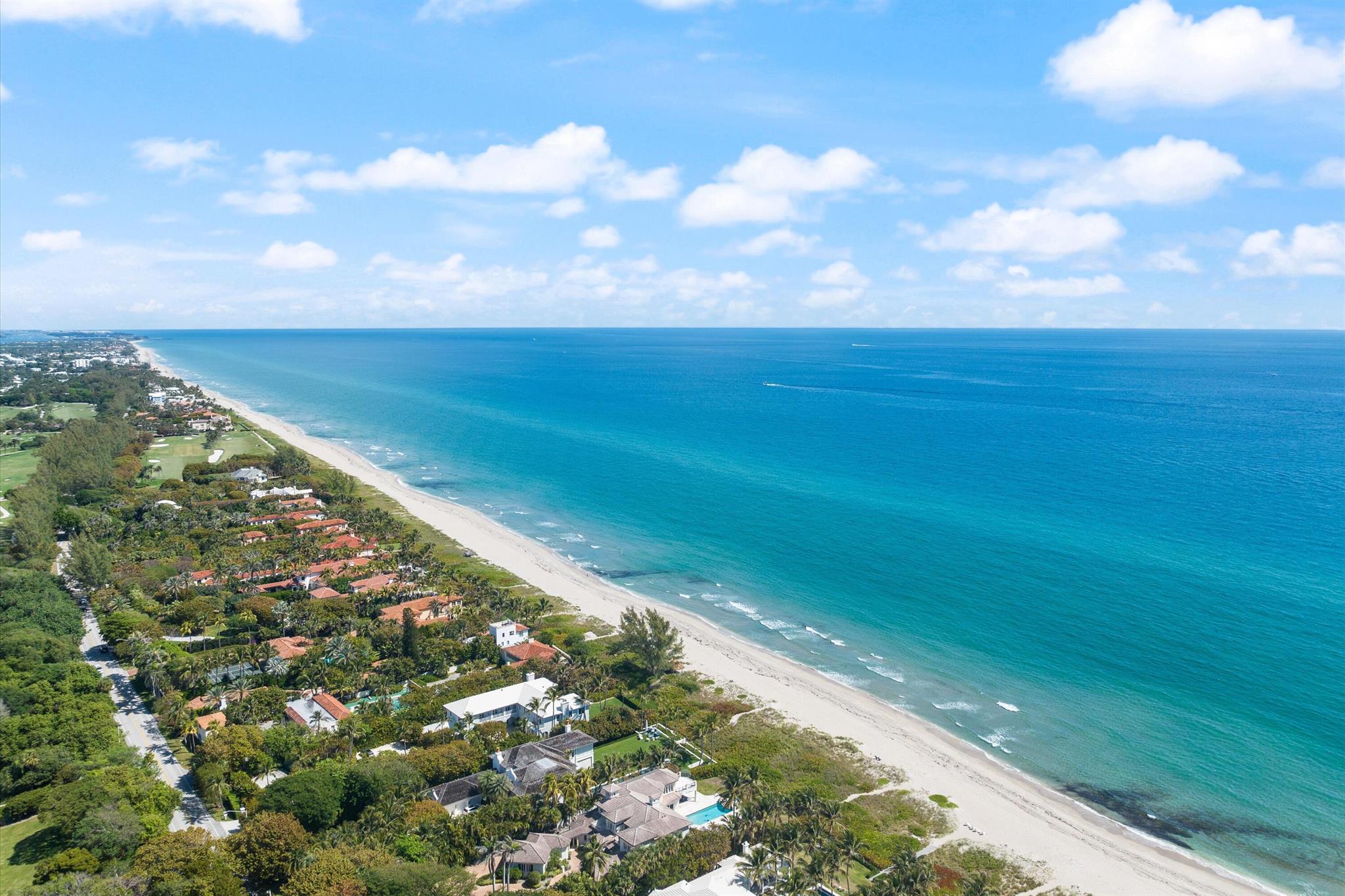 1202 Palm Trail 5