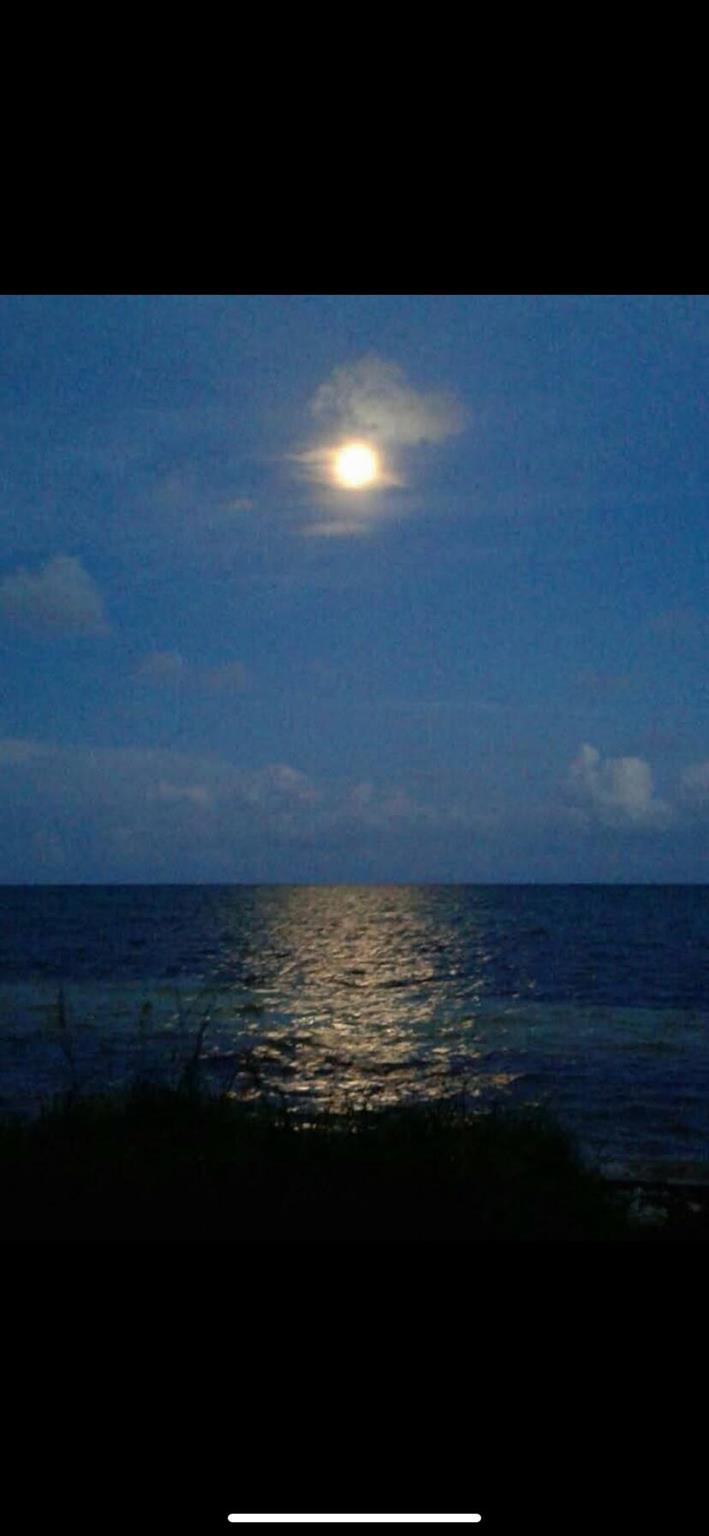 607 Renaissance Lane