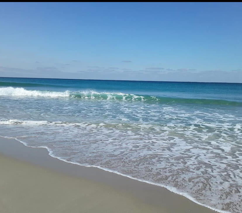 607 Renaissance Lane