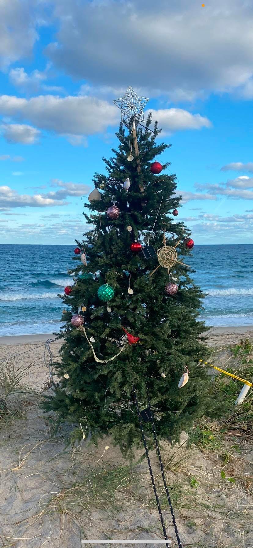 607 Renaissance Lane