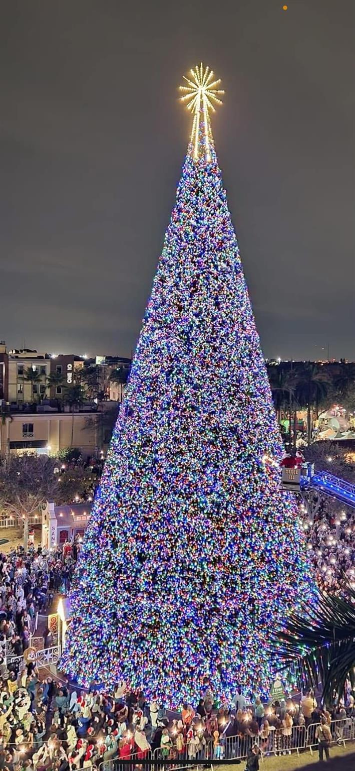 607 Renaissance Lane