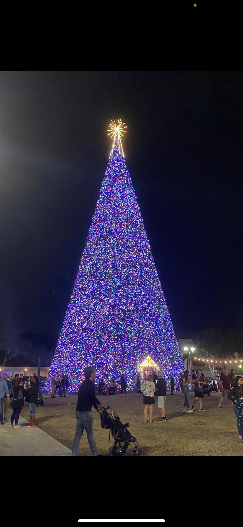 607 Renaissance Lane