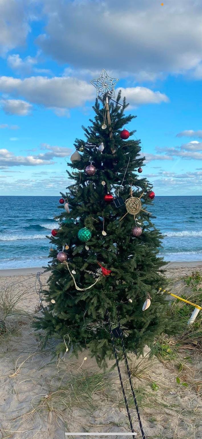 607 Renaissance Lane