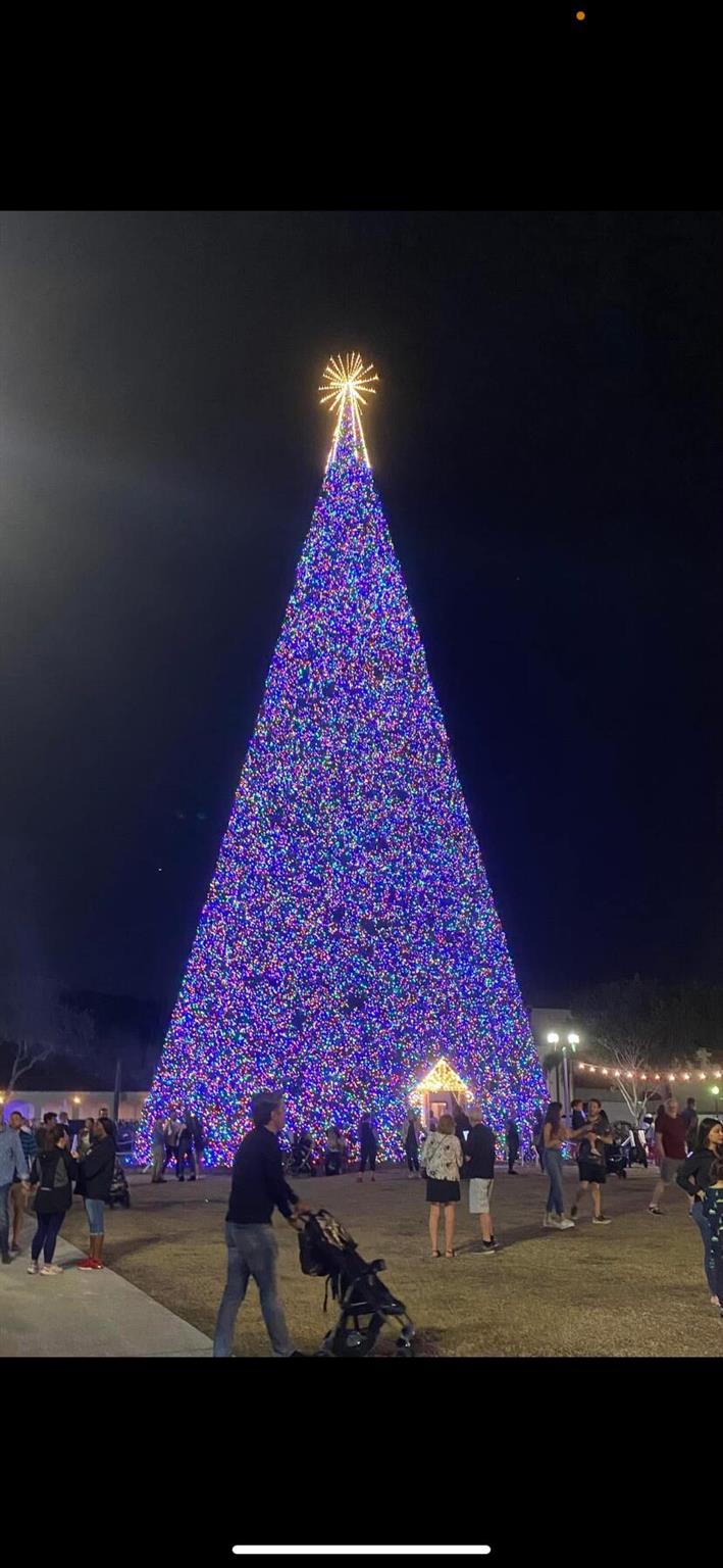 607 Renaissance Lane