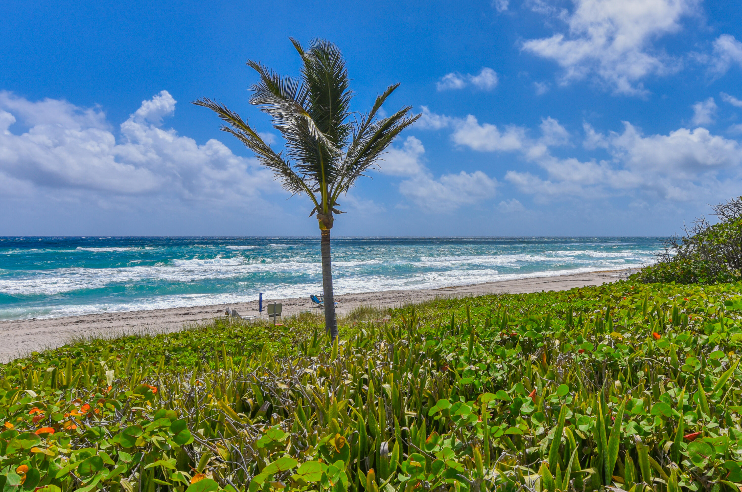 3310 S Ocean Boulevard 631d