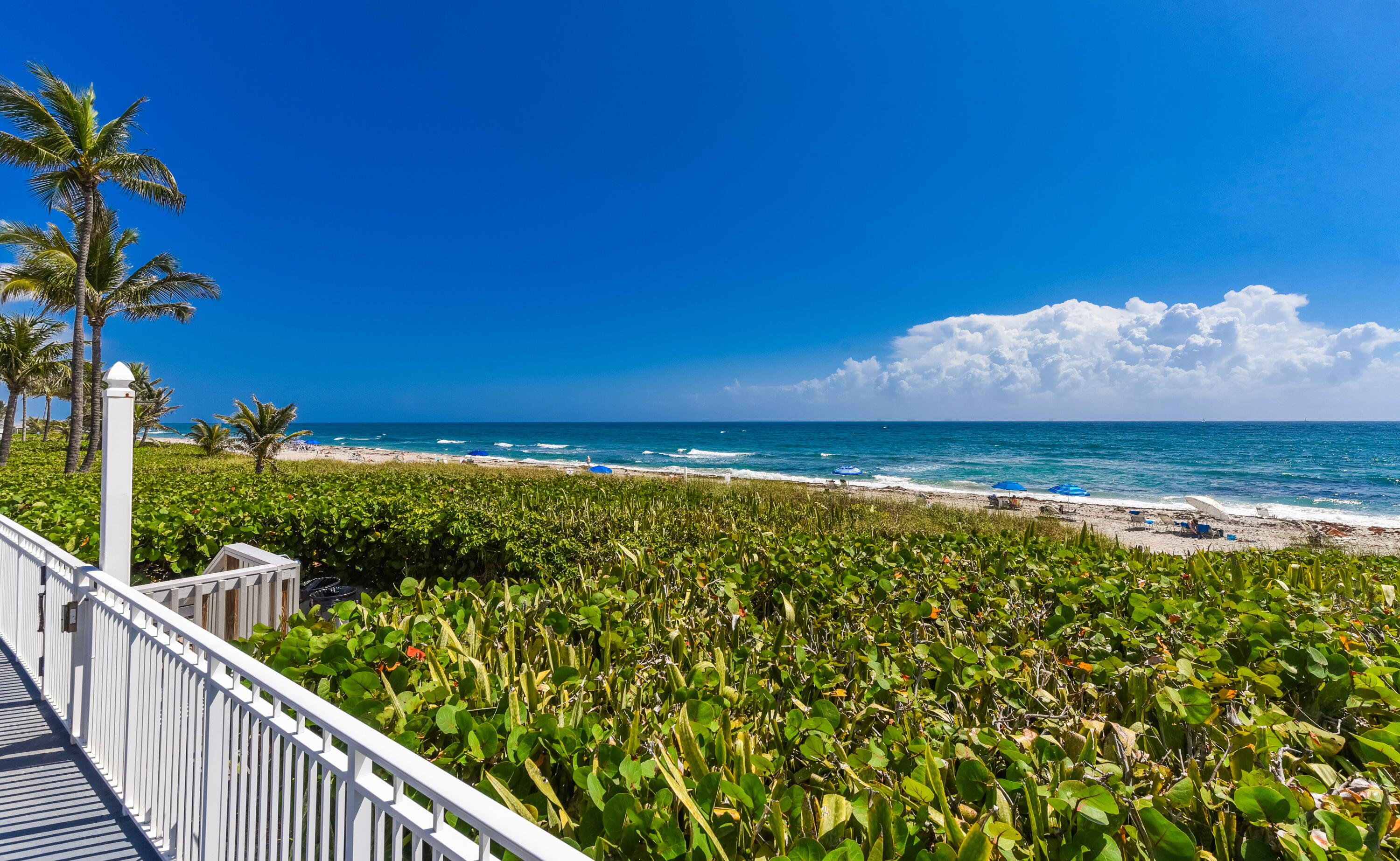 3310 S Ocean Boulevard 631d