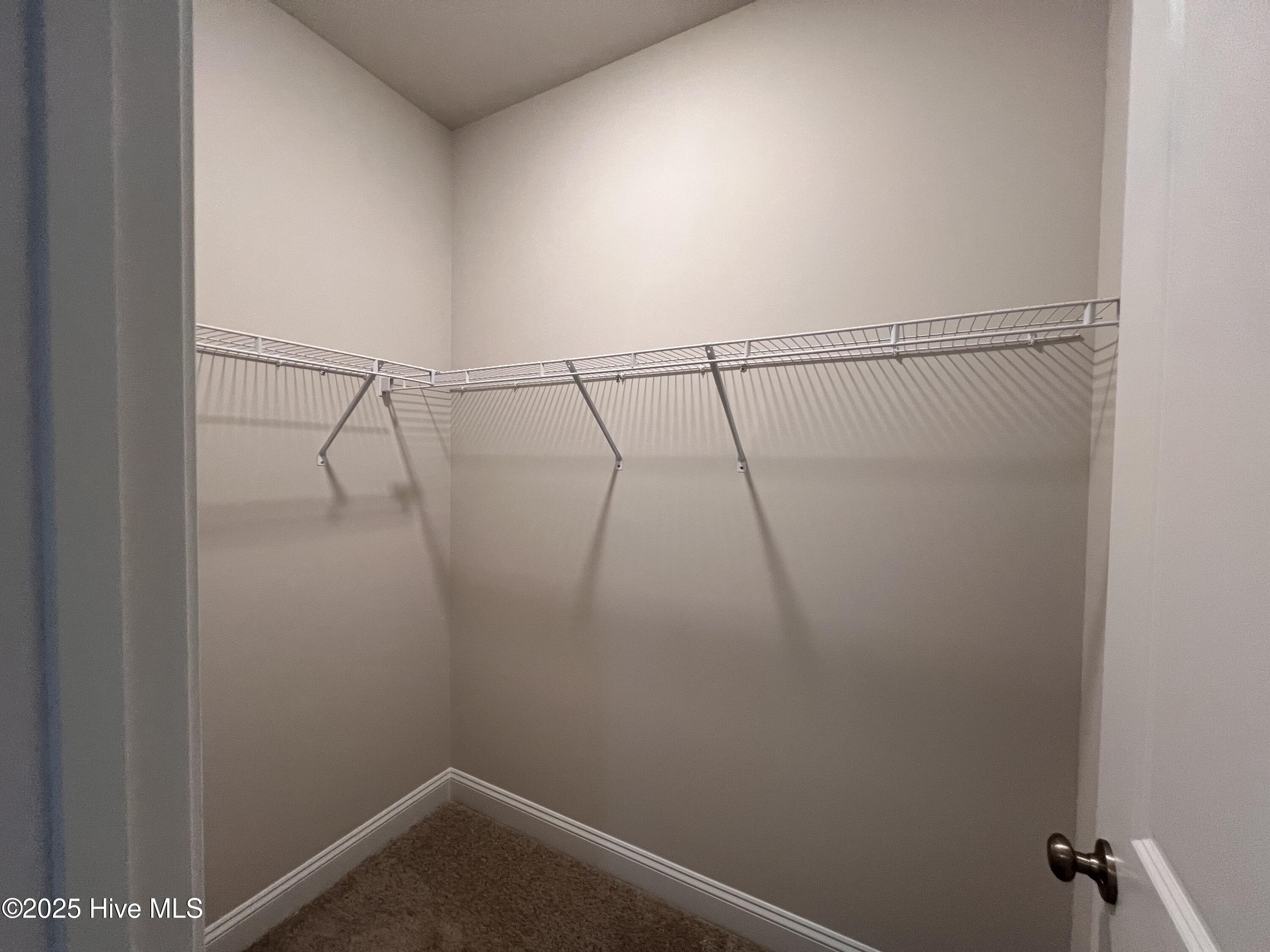 218 Sacksonia Street