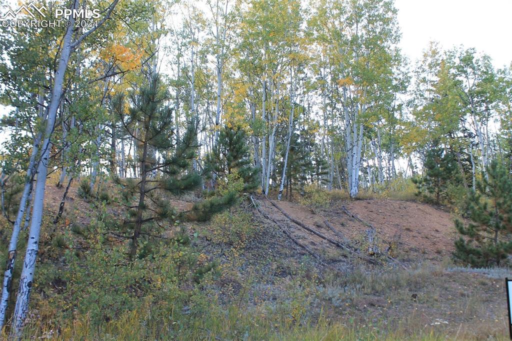 54 Elkhorn Lane