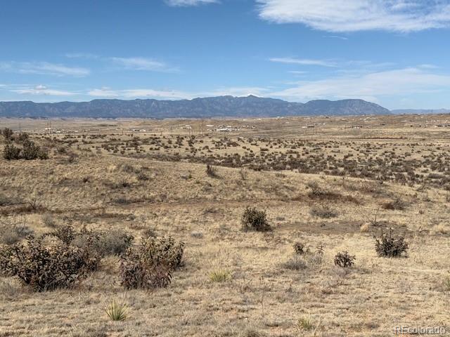 5225 Salt Cedar Road