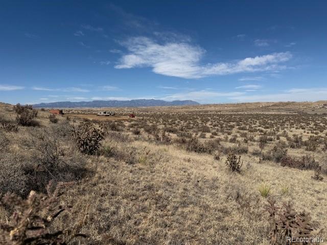 5225 Salt Cedar Road