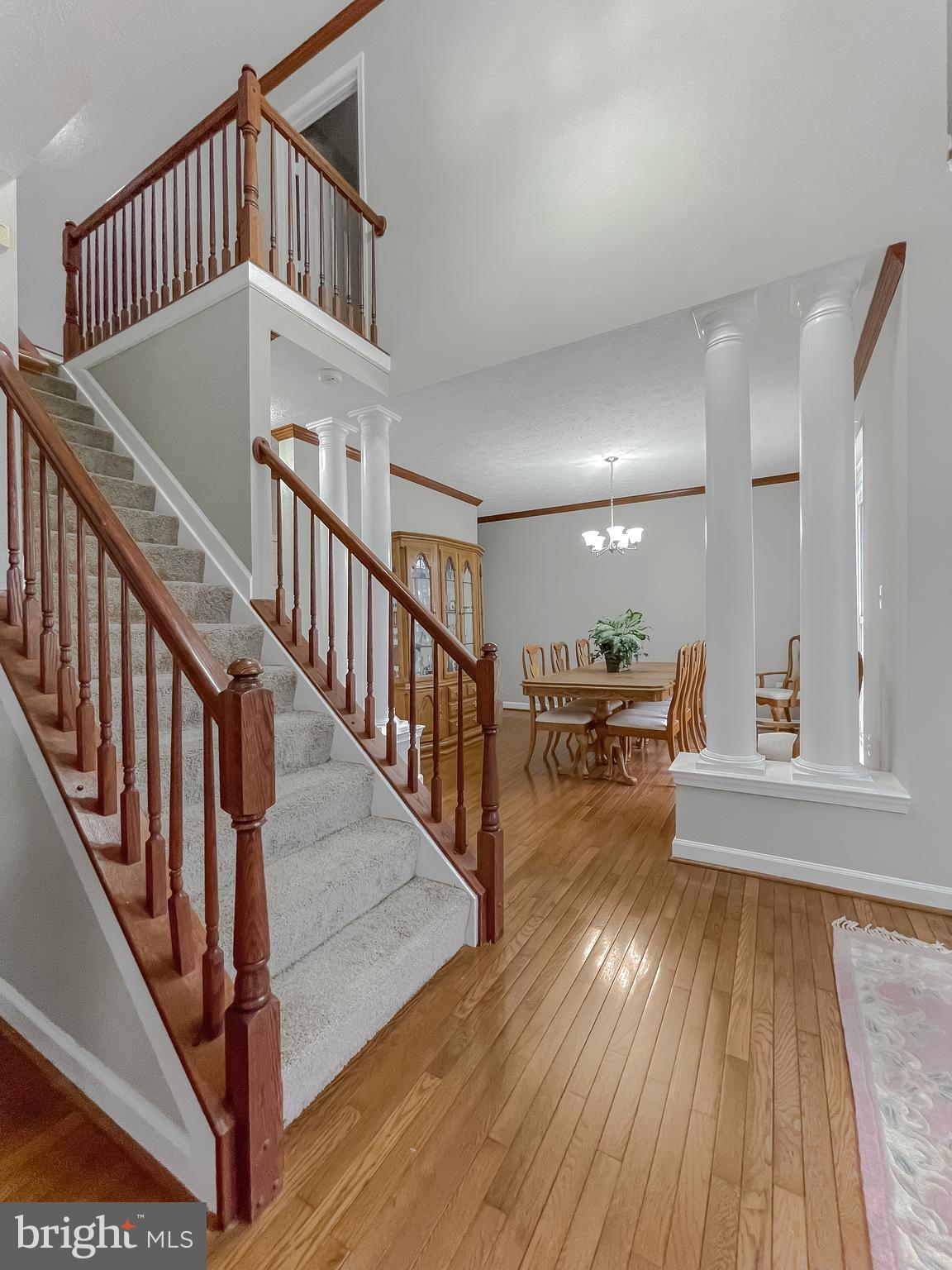 2334 Alava Ct