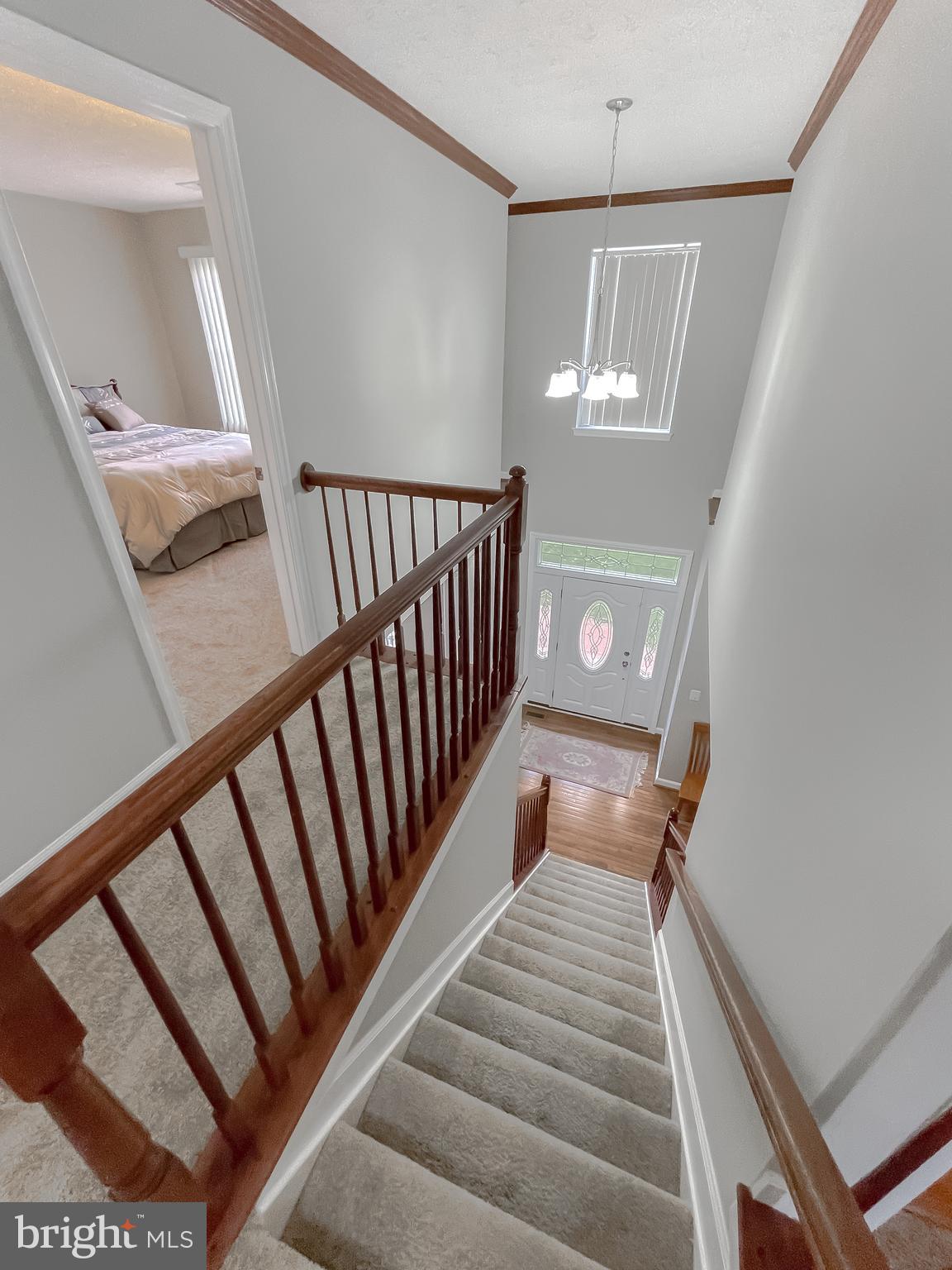 2334 Alava Ct