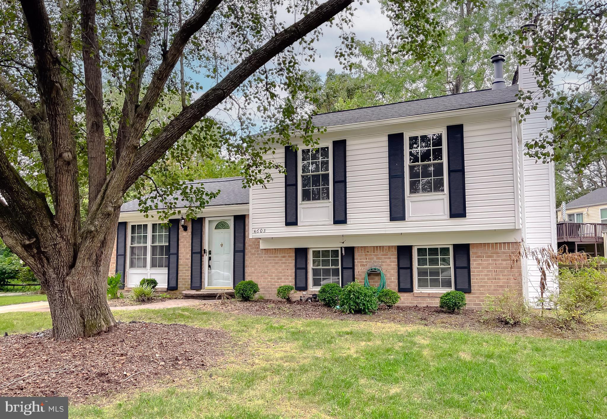 4603 Taylor Ct