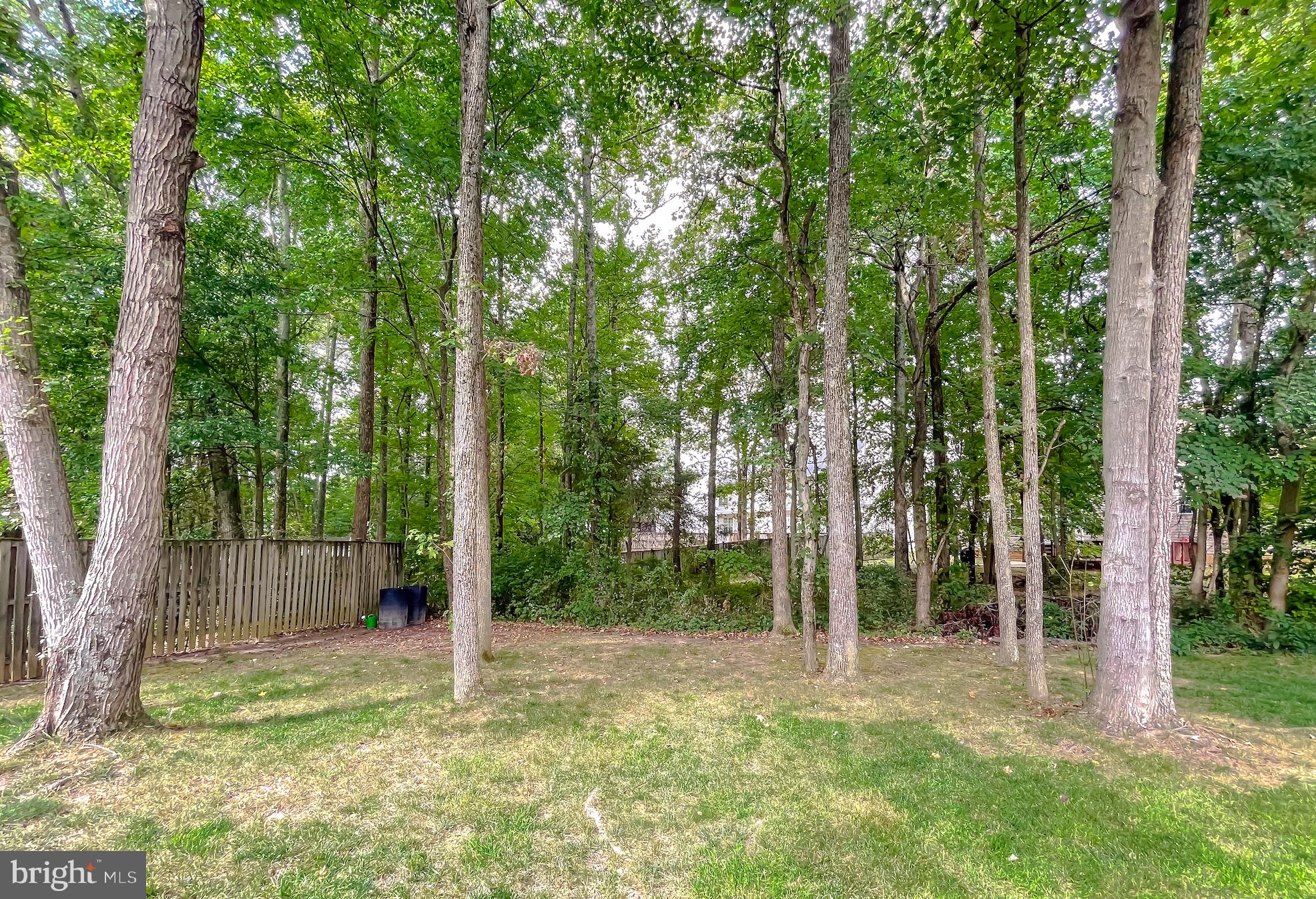 2330 Springdale Ln