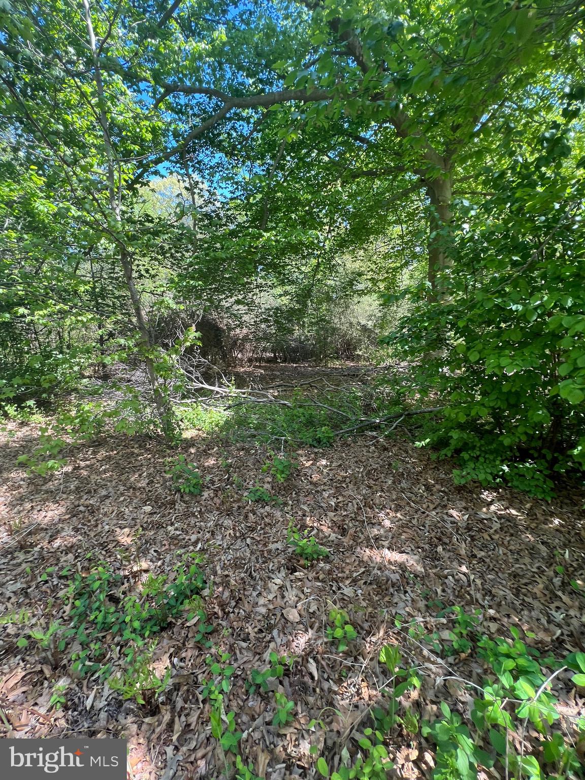 16226 Livingston Rd