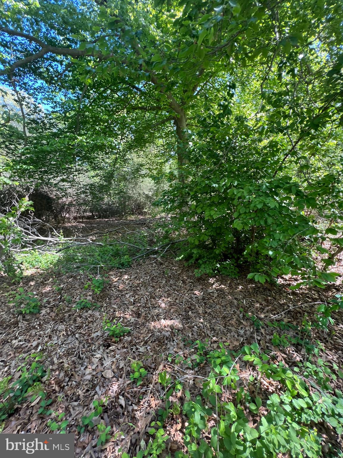 16226 Livingston Rd