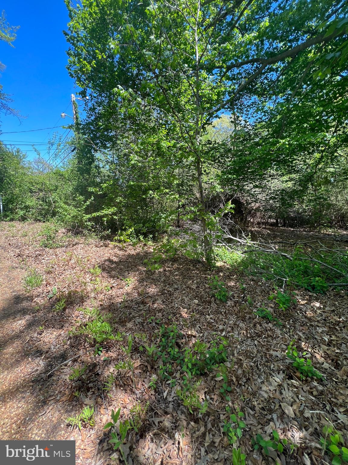 16226 Livingston Rd