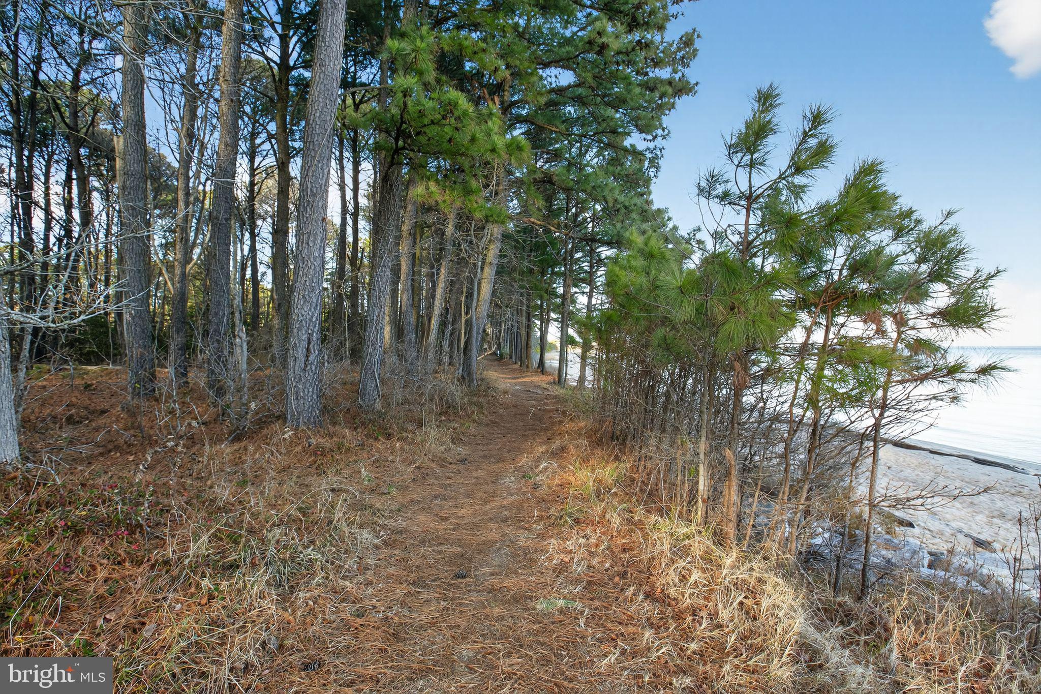 21620 DEFENDER STREET