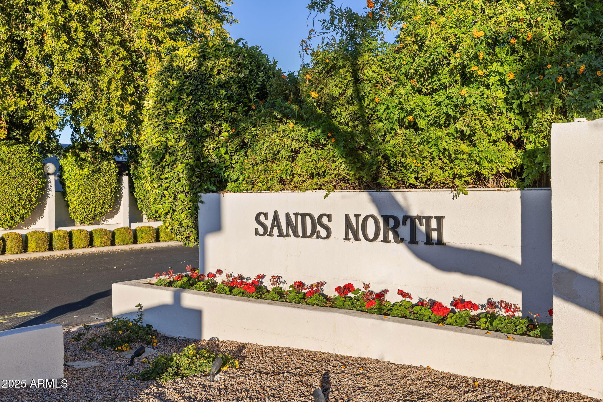 7242 E JOSHUA TREE Lane