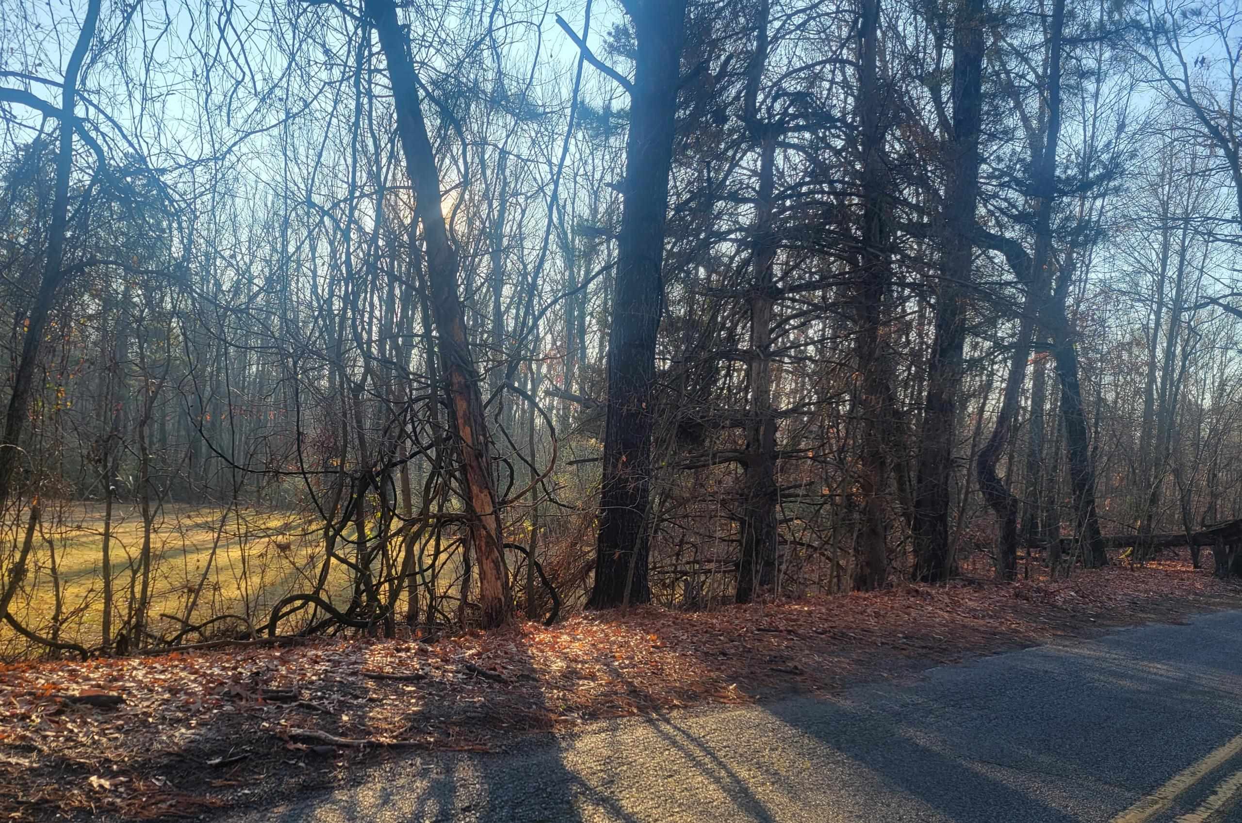 0 OLD ALLEN RD