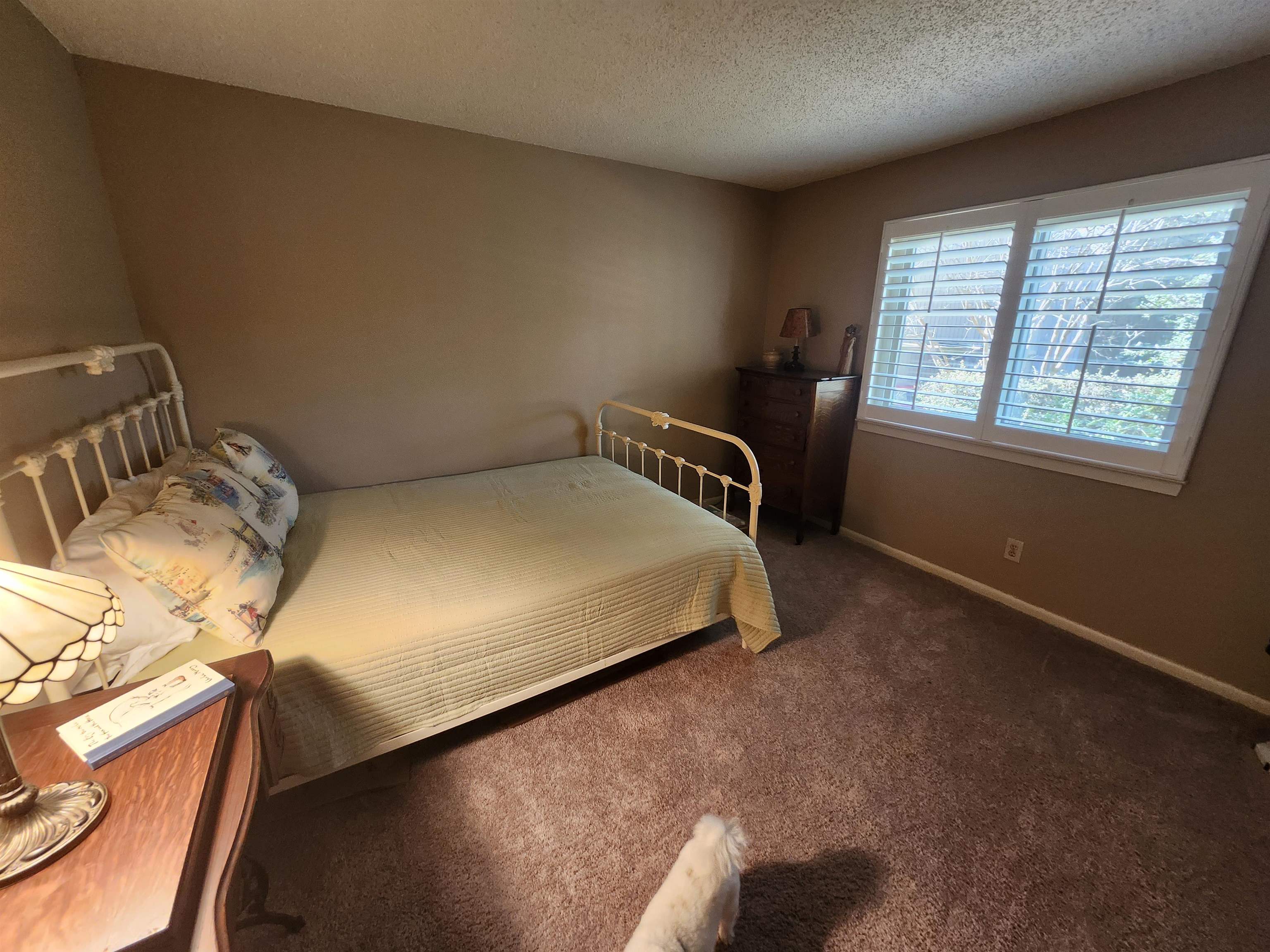4778 AUDUBON VIEW CIR Unit: 3803