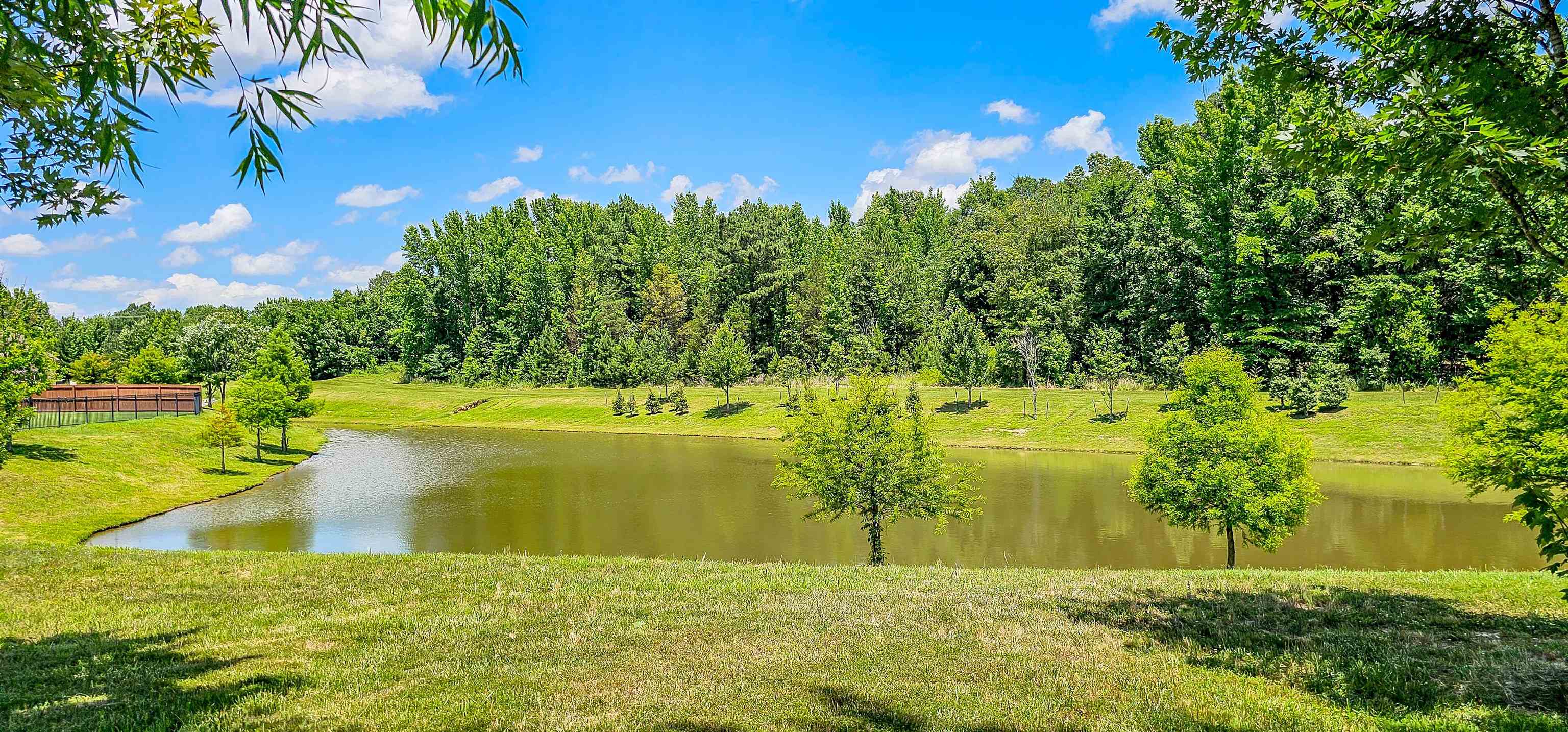 834 CYPRESS ROCK CV