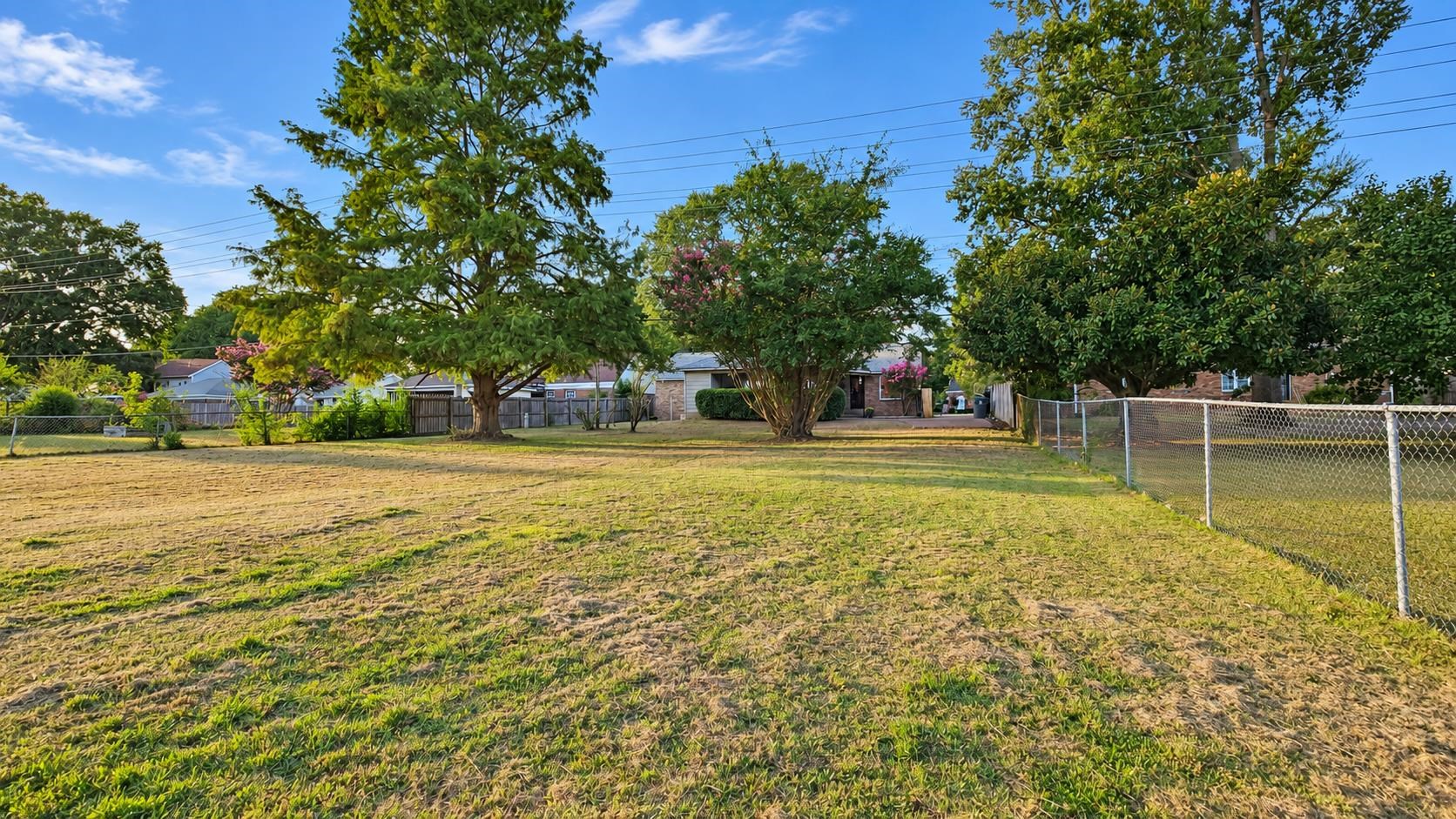 Backyard with mature trees, patchy lawn, chain-link fencing, and the house in the distance.