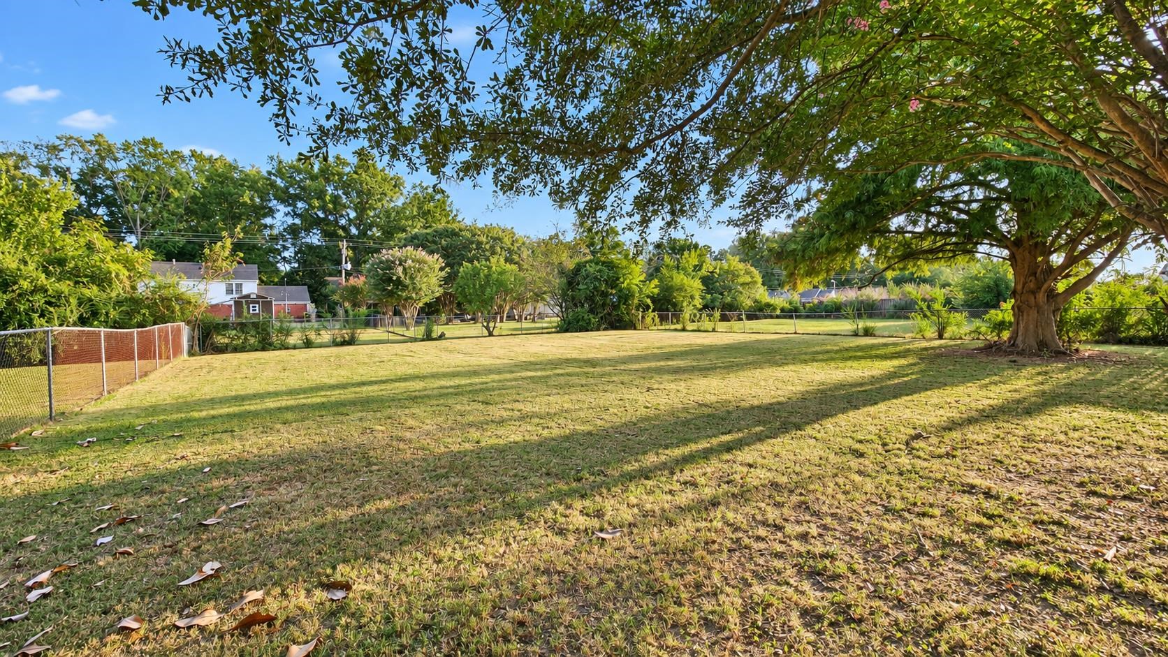 Grassy backyard beneath a large shade tree, with fencing along the sides.