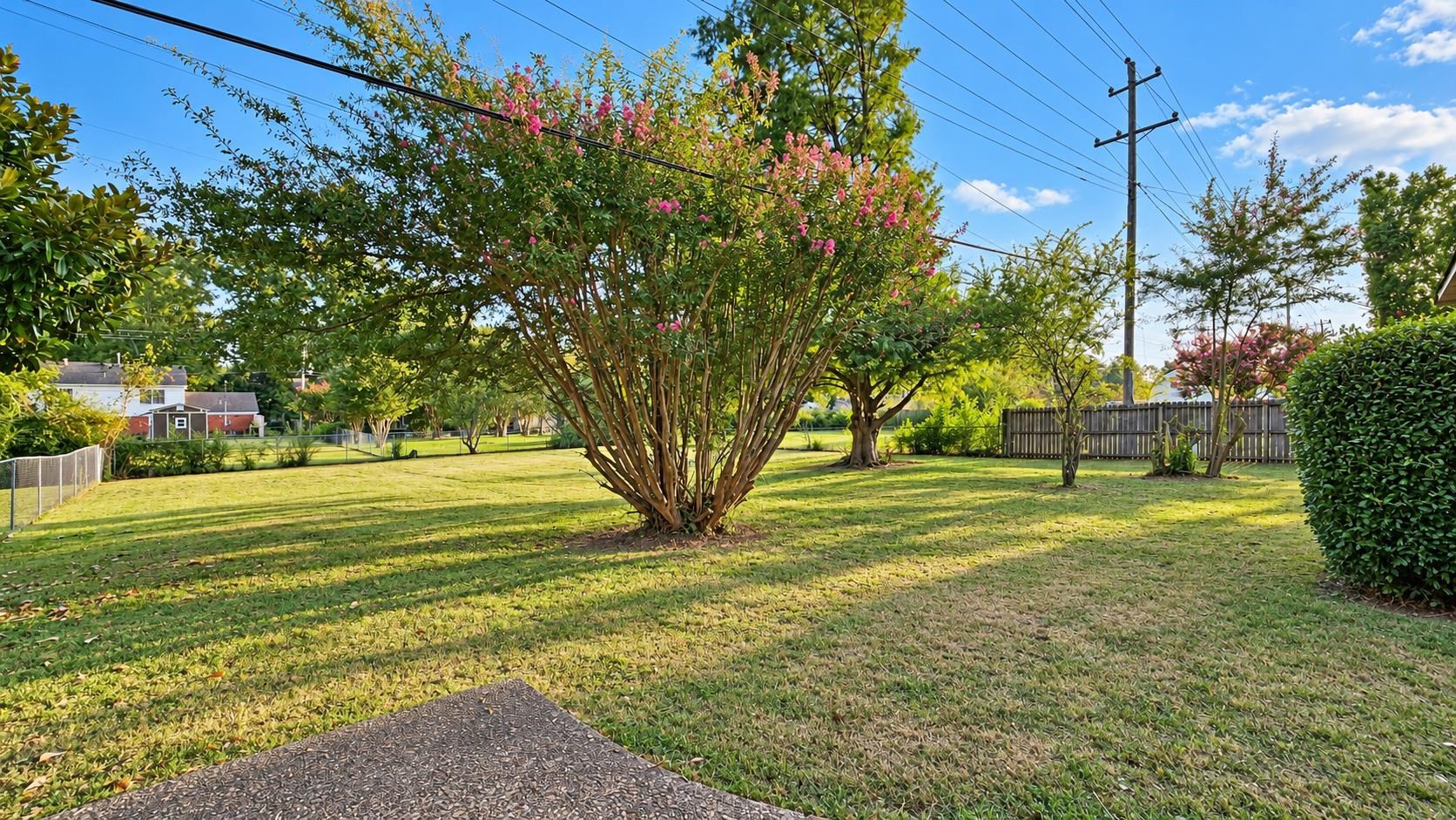 Spacious backyard lawn with a pink-flowering tree, mature landscaping, and a wooden fence.