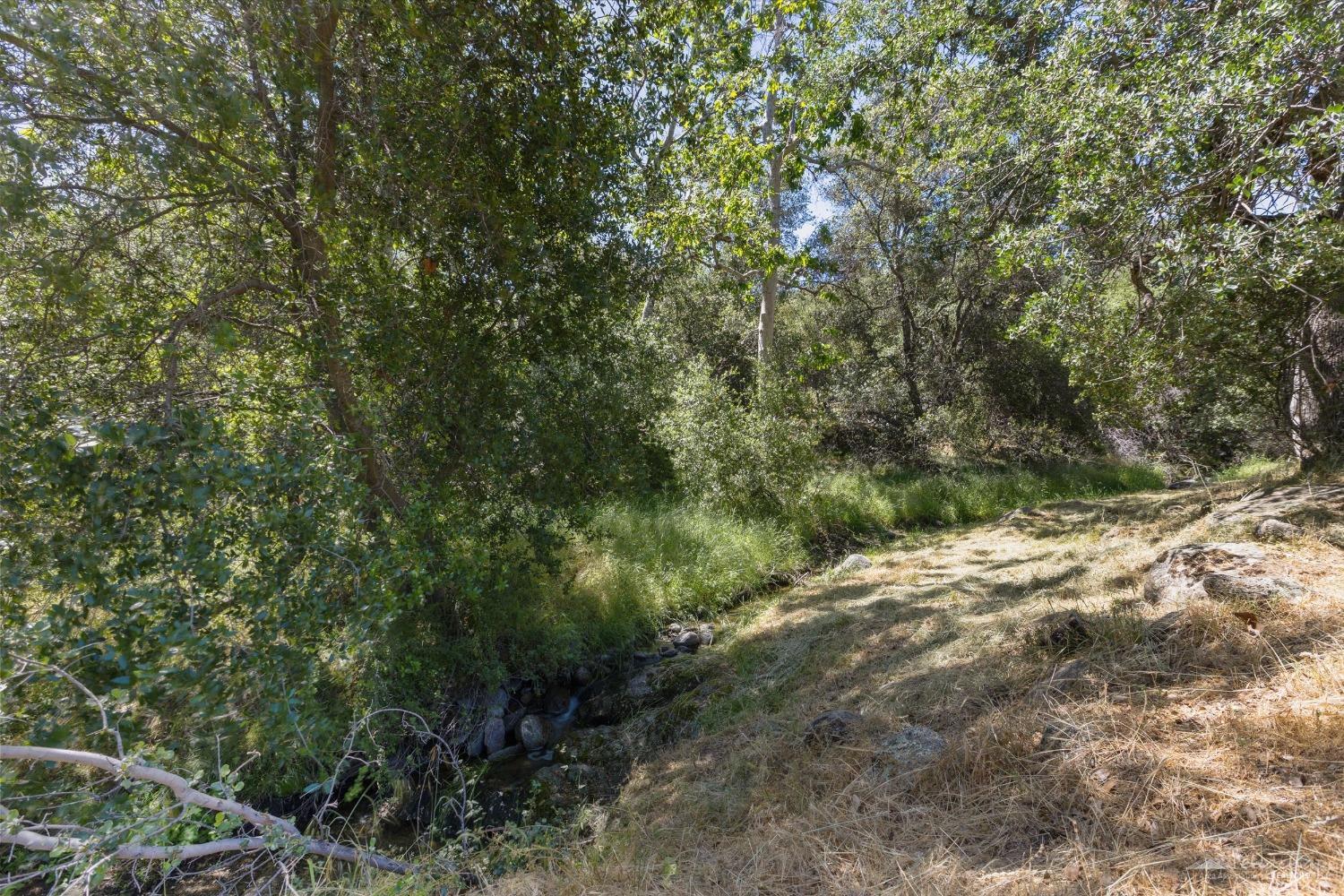 20301 Hart Creek Drive