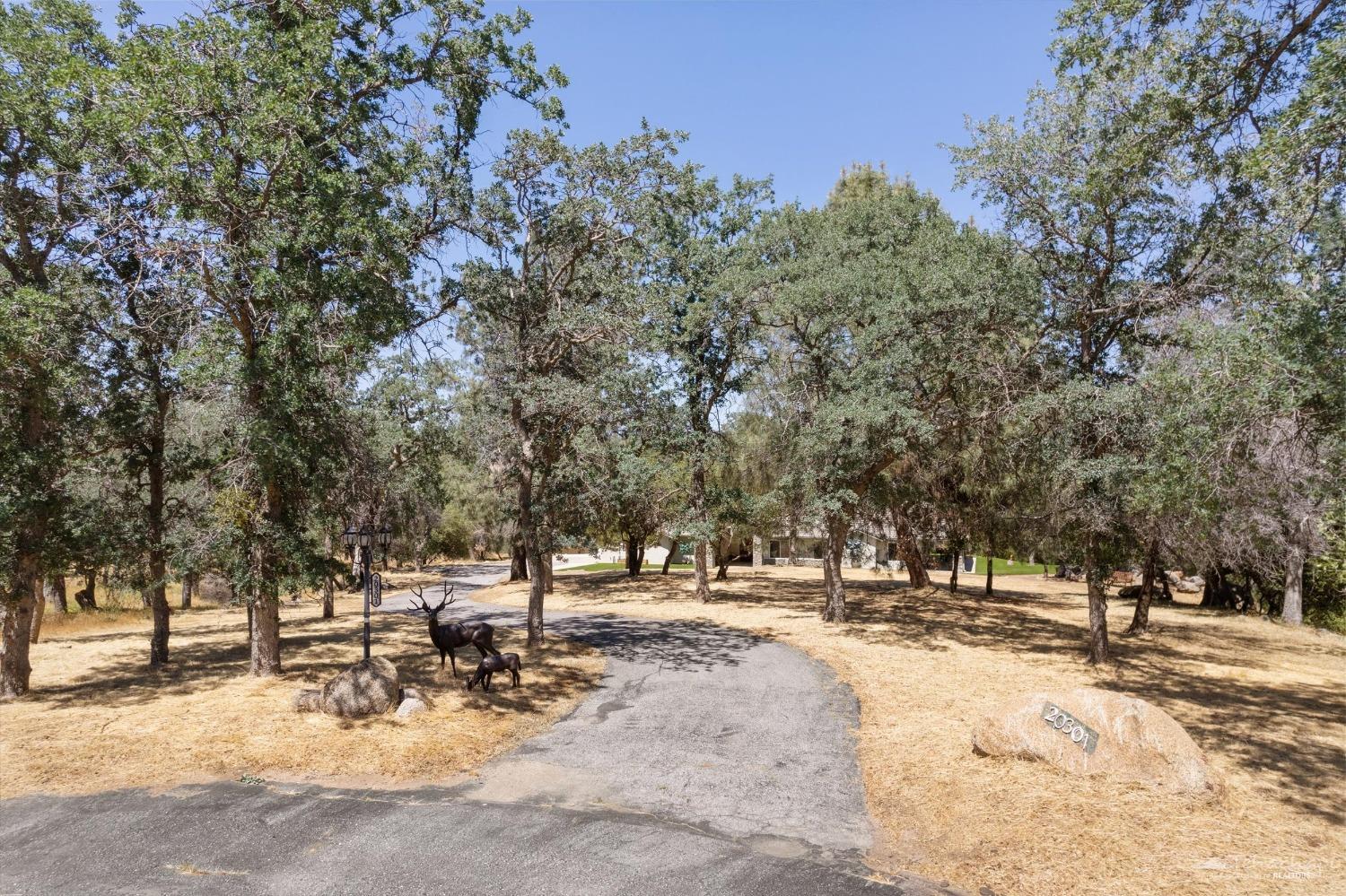 20301 Hart Creek Drive
