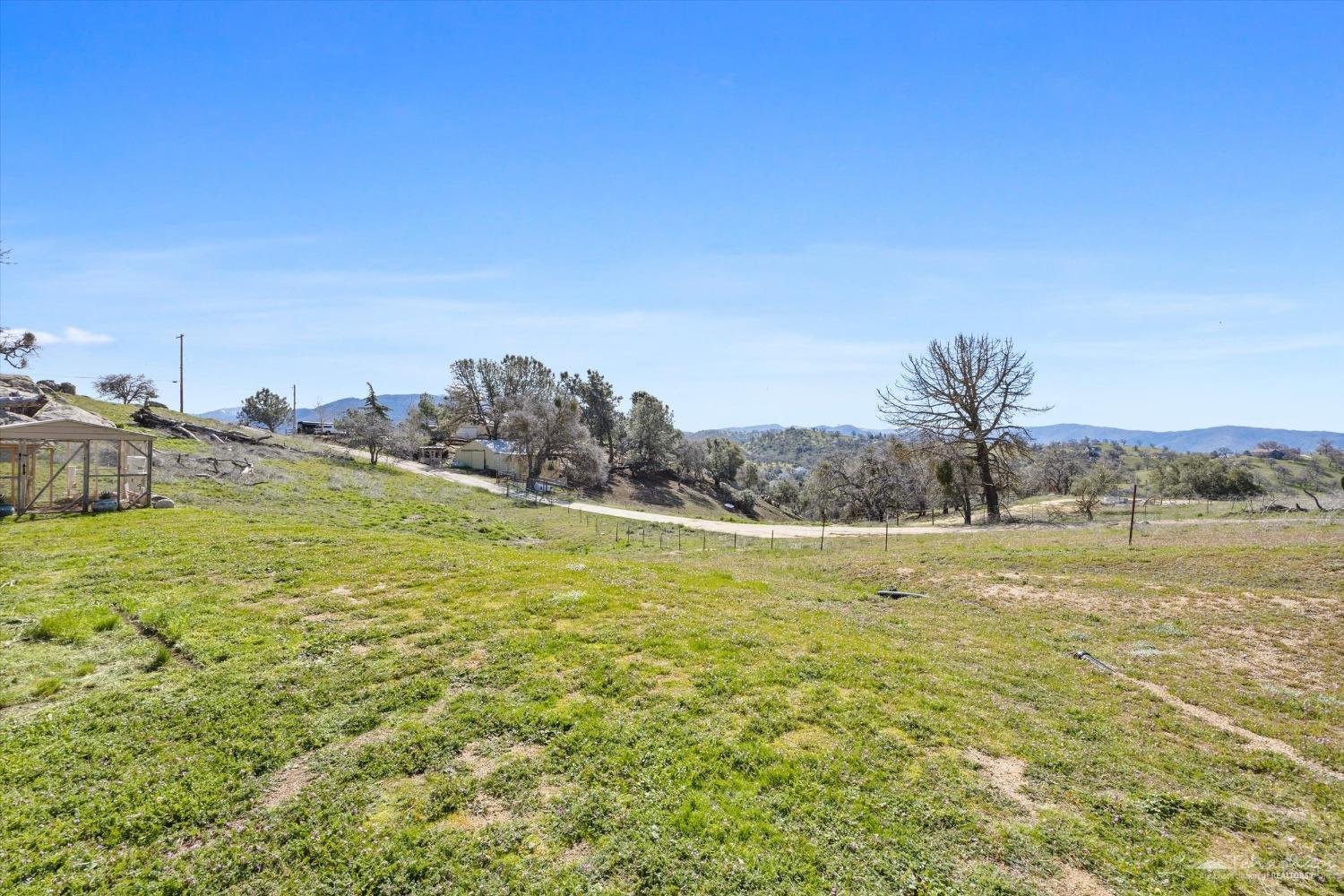 30080 Dove Court
