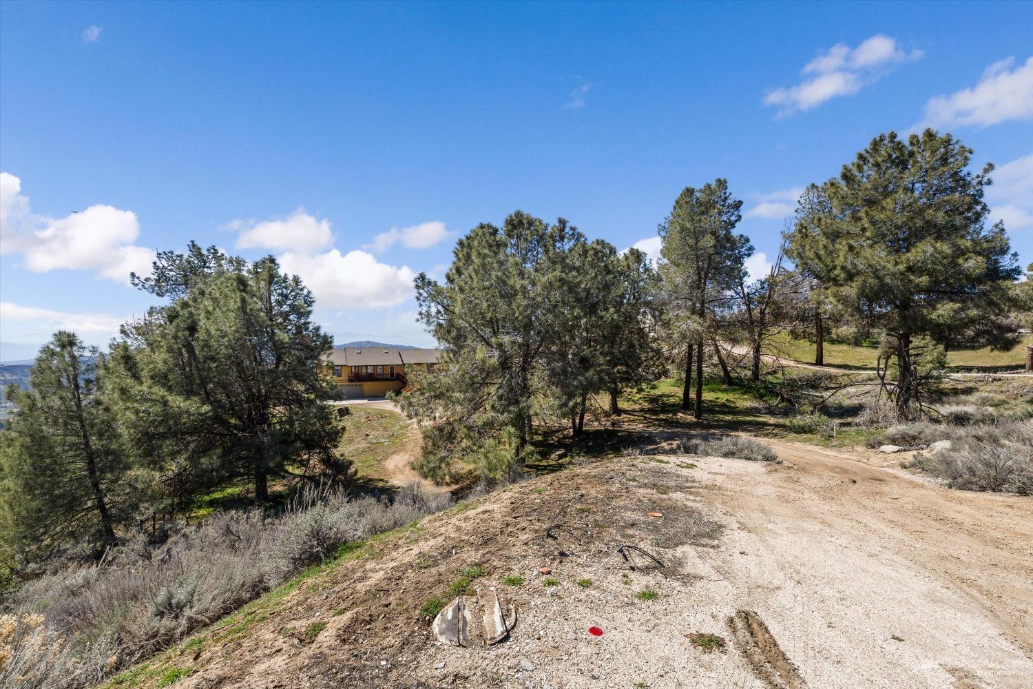 26531 Winchester Court