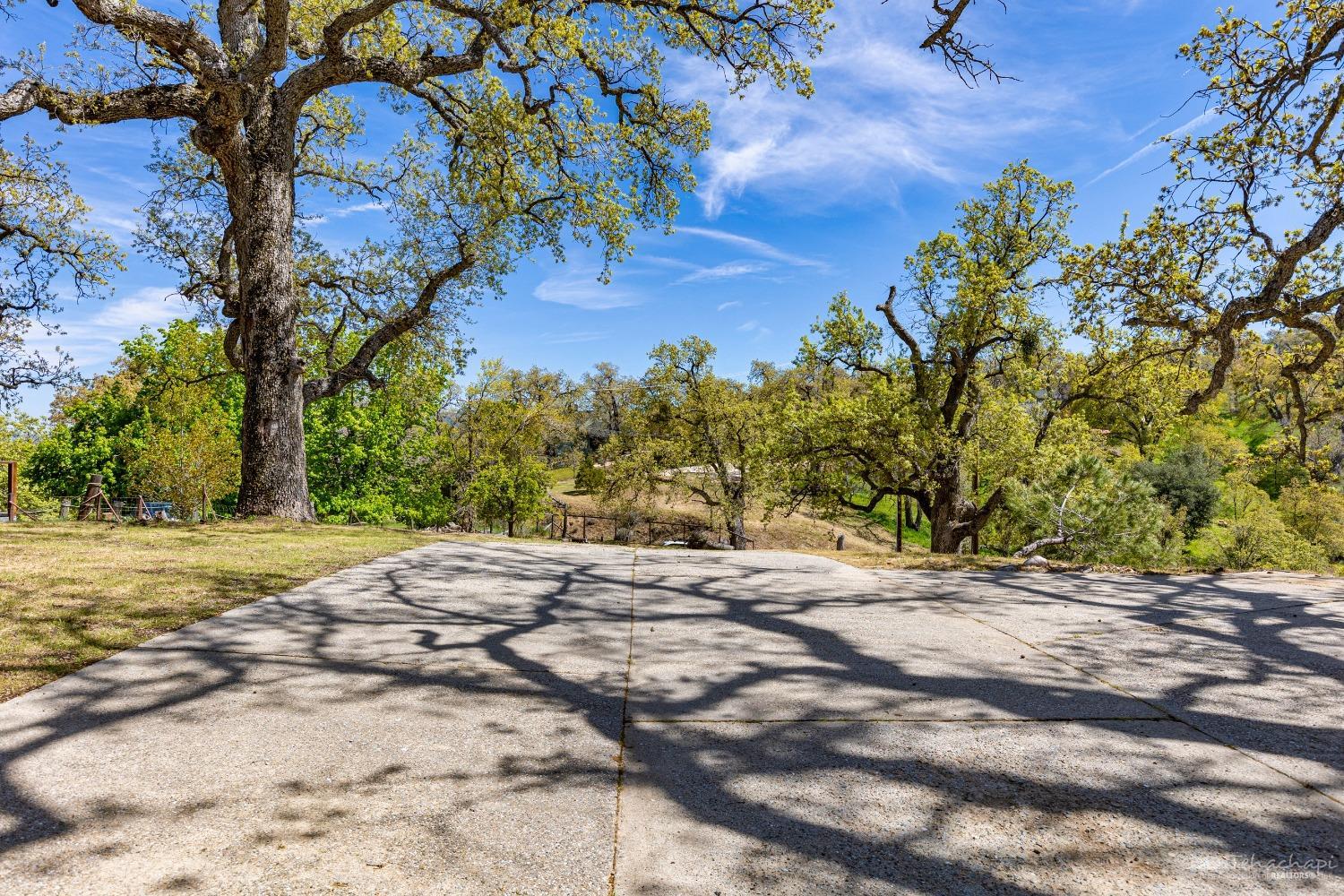 30951 Pinedale Drive