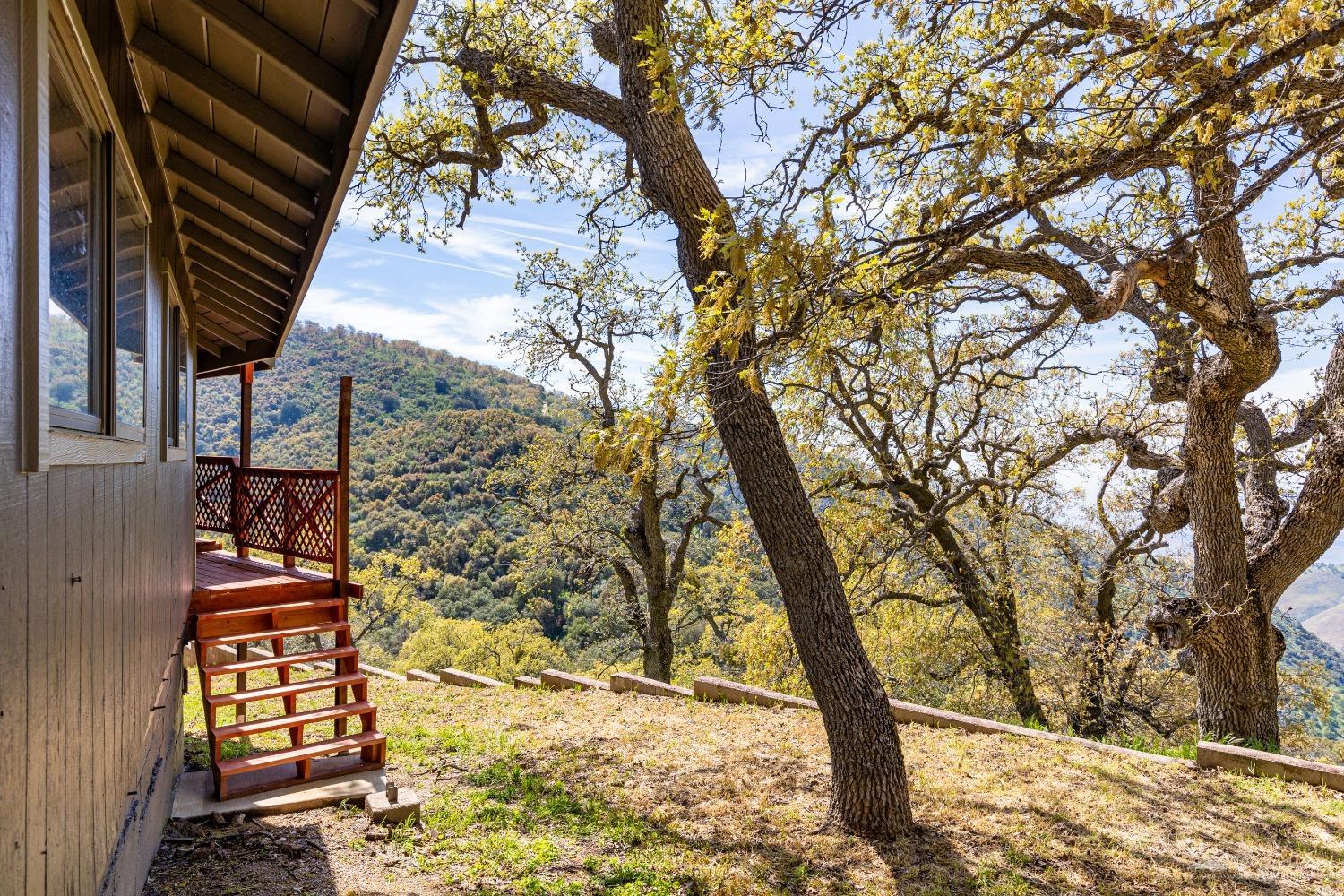 30951 Pinedale Drive