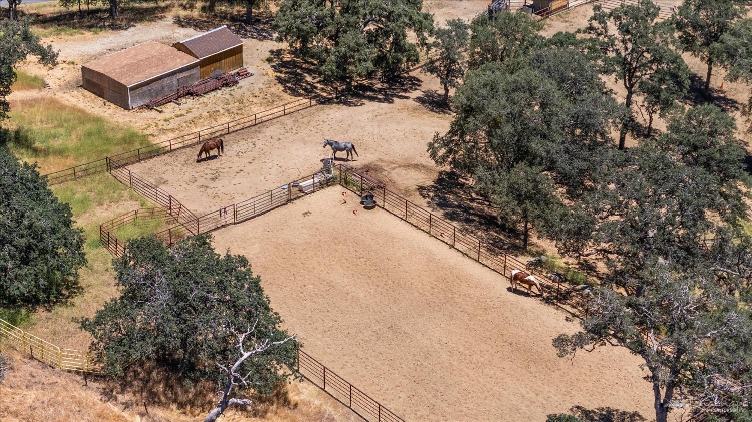 28079 Twisted Oak Road