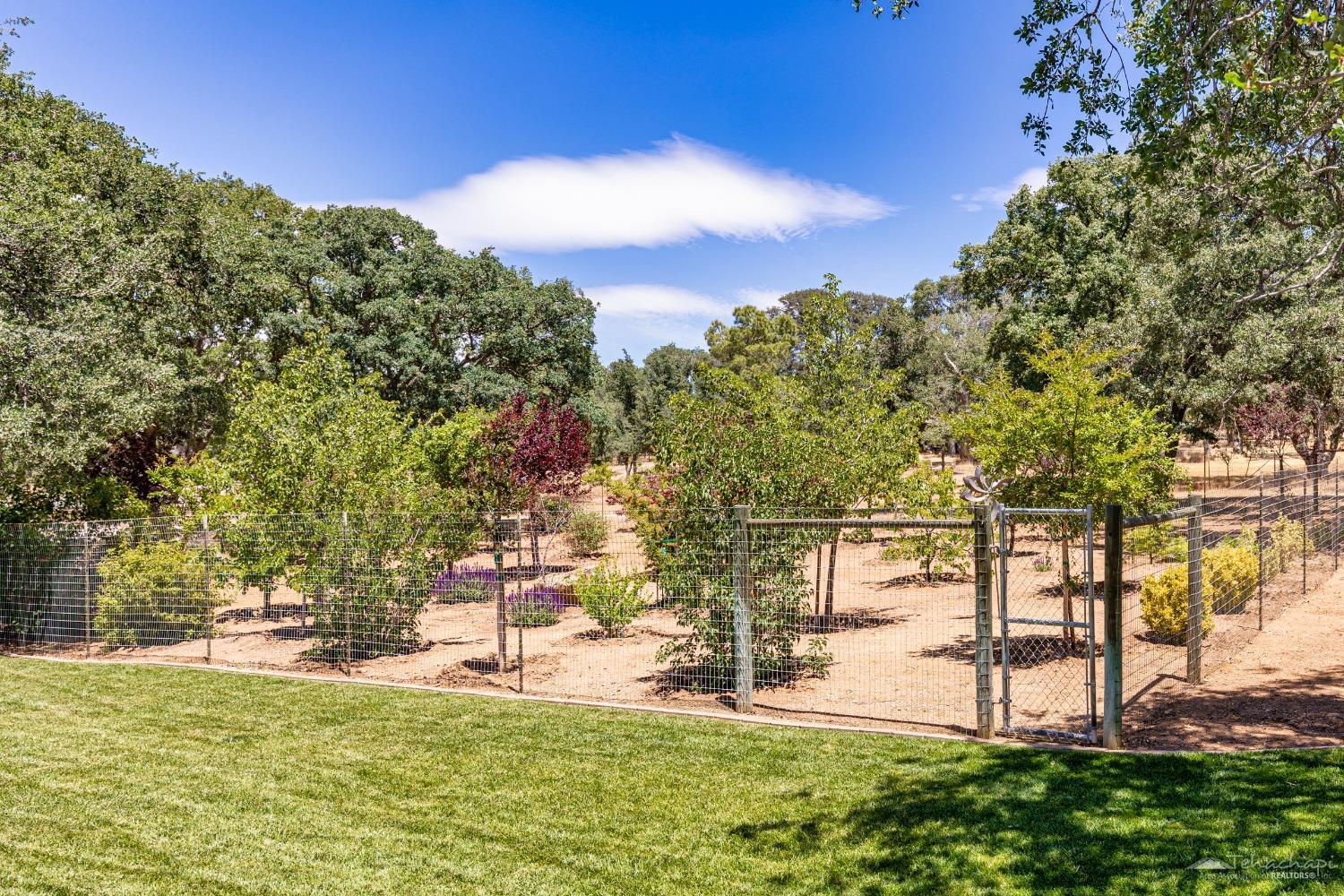 20700 Oak Glen Court