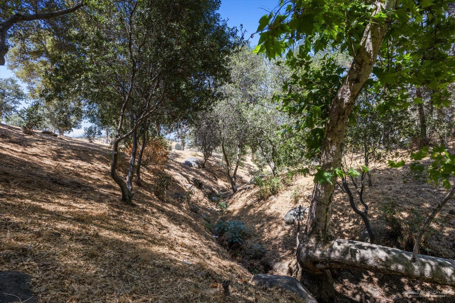 25474 Clear Creek Road