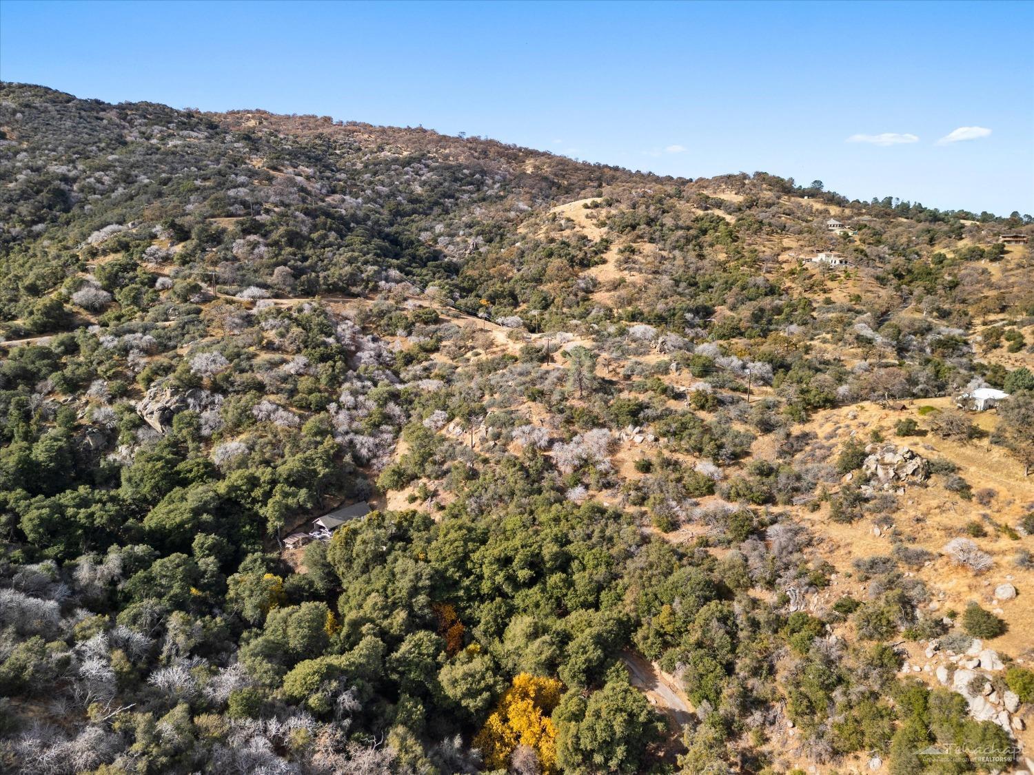 29385 Clear Creek Road